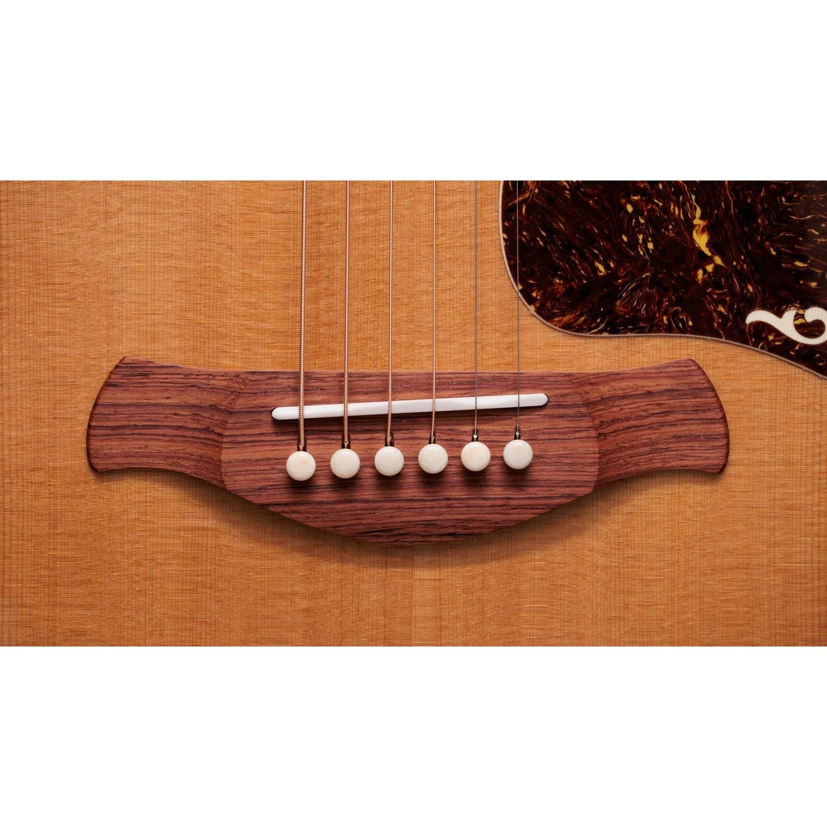 Đàn Guitar Acoustic Taylor Gold Label K14e-Mai Nguyên Music