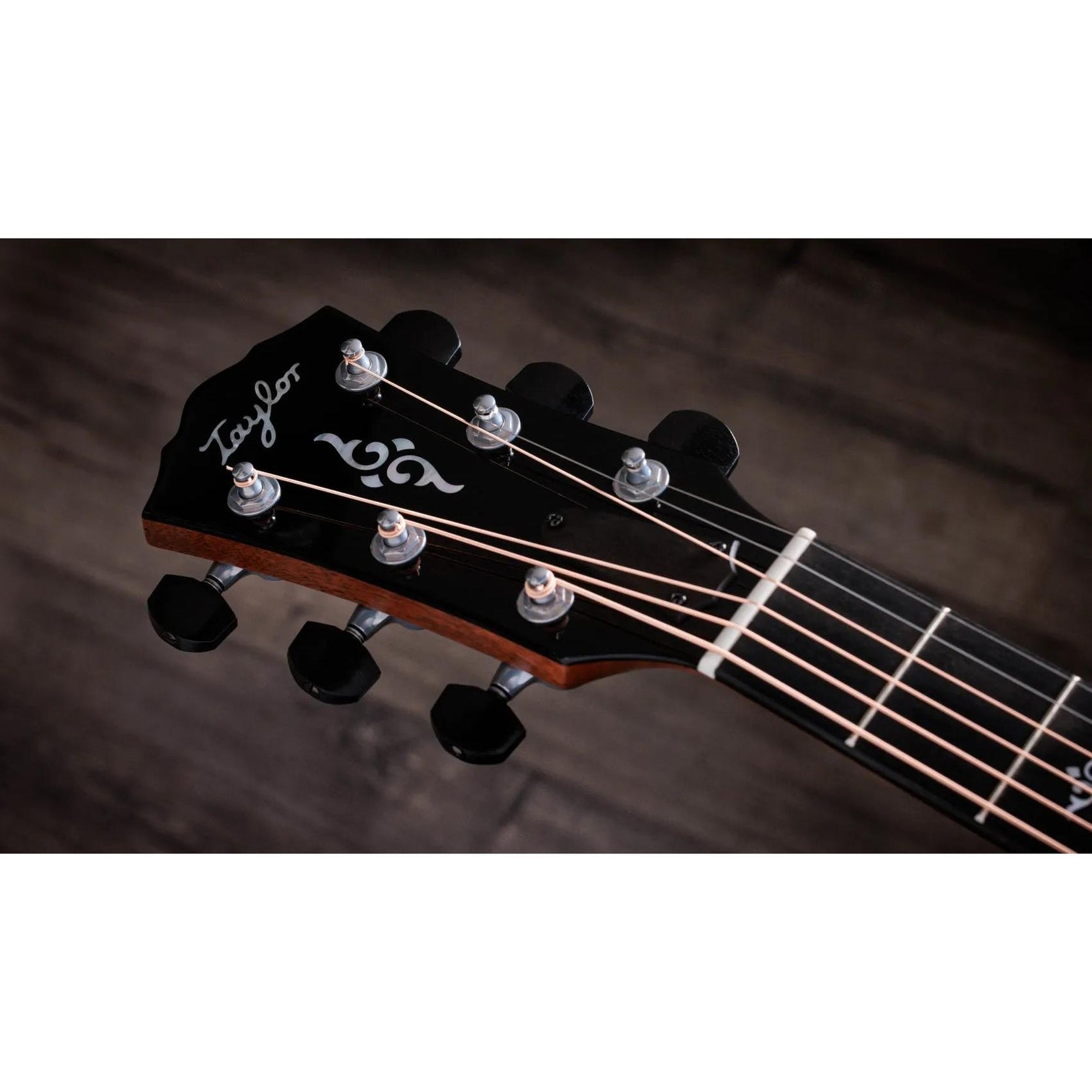 Đàn Guitar Acoustic Taylor Gold Label K14e-Mai Nguyên Music