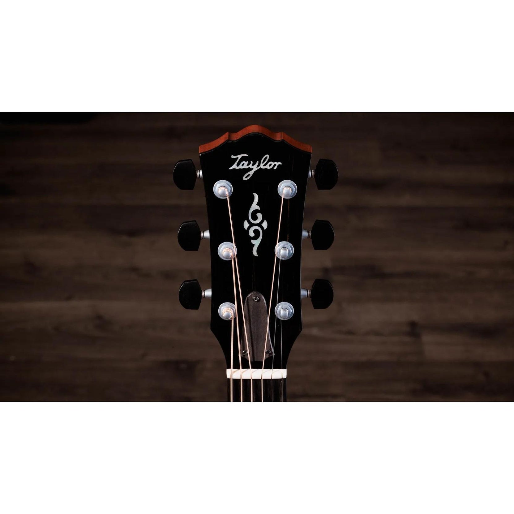 Đàn Guitar Acoustic Taylor Gold Label K14e-Mai Nguyên Music
