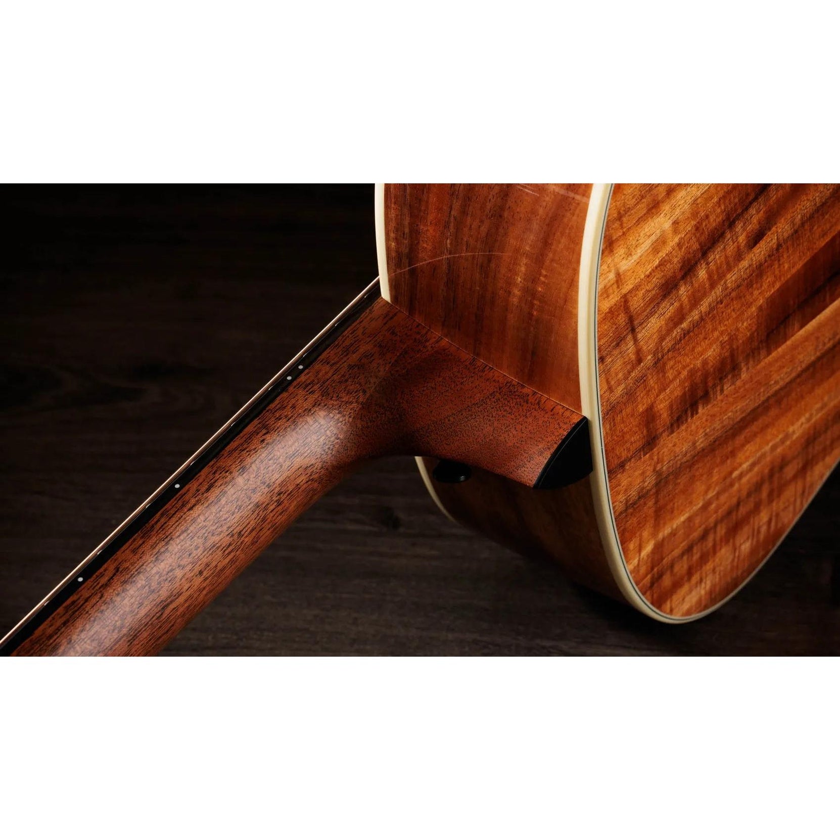 Đàn Guitar Acoustic Taylor Gold Label K14e-Mai Nguyên Music