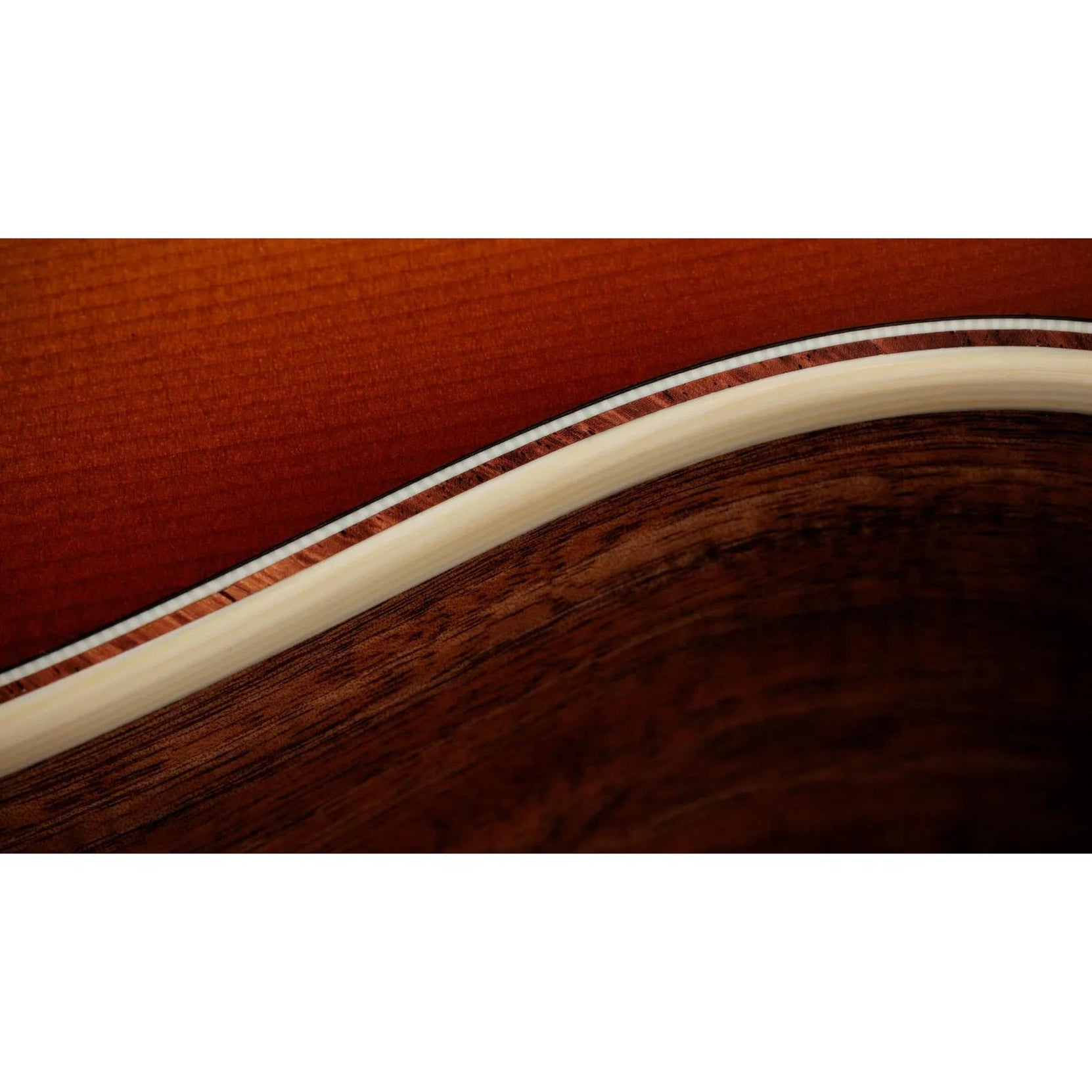 Đàn Guitar Acoustic Taylor Gold Label K14e-Mai Nguyên Music