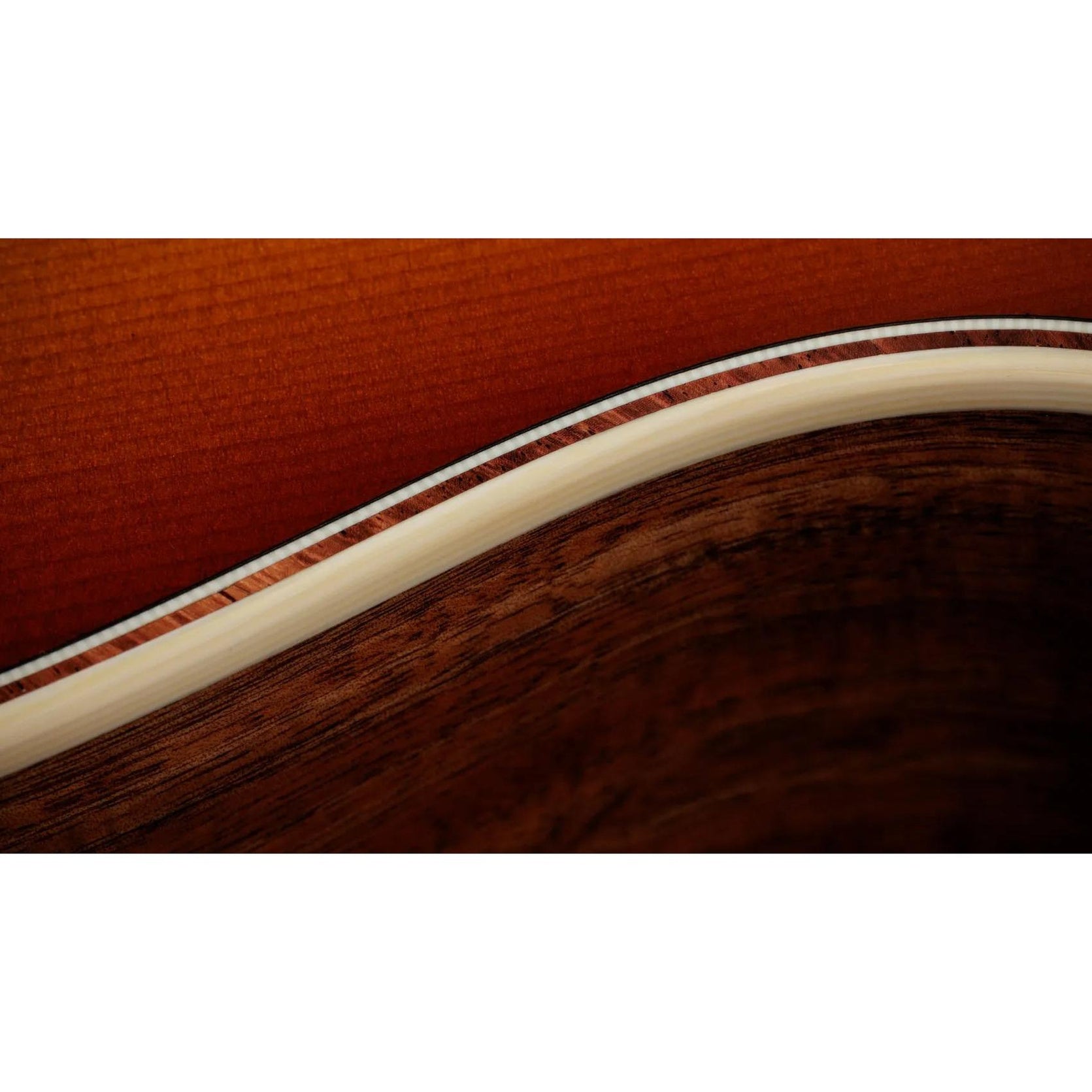 Đàn Guitar Acoustic Taylor Gold Label K14e-Mai Nguyên Music