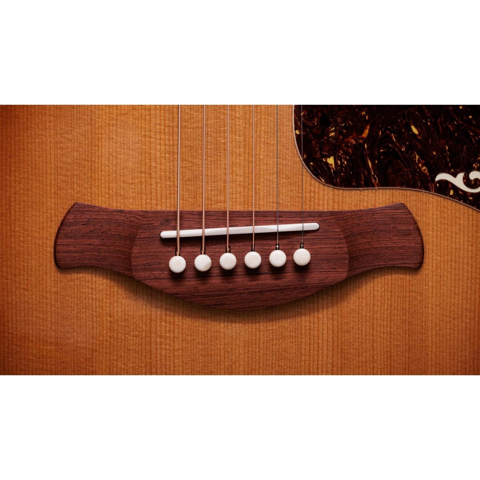 Đàn Guitar Acoustic Taylor Gold Label K14e-Mai Nguyên Music