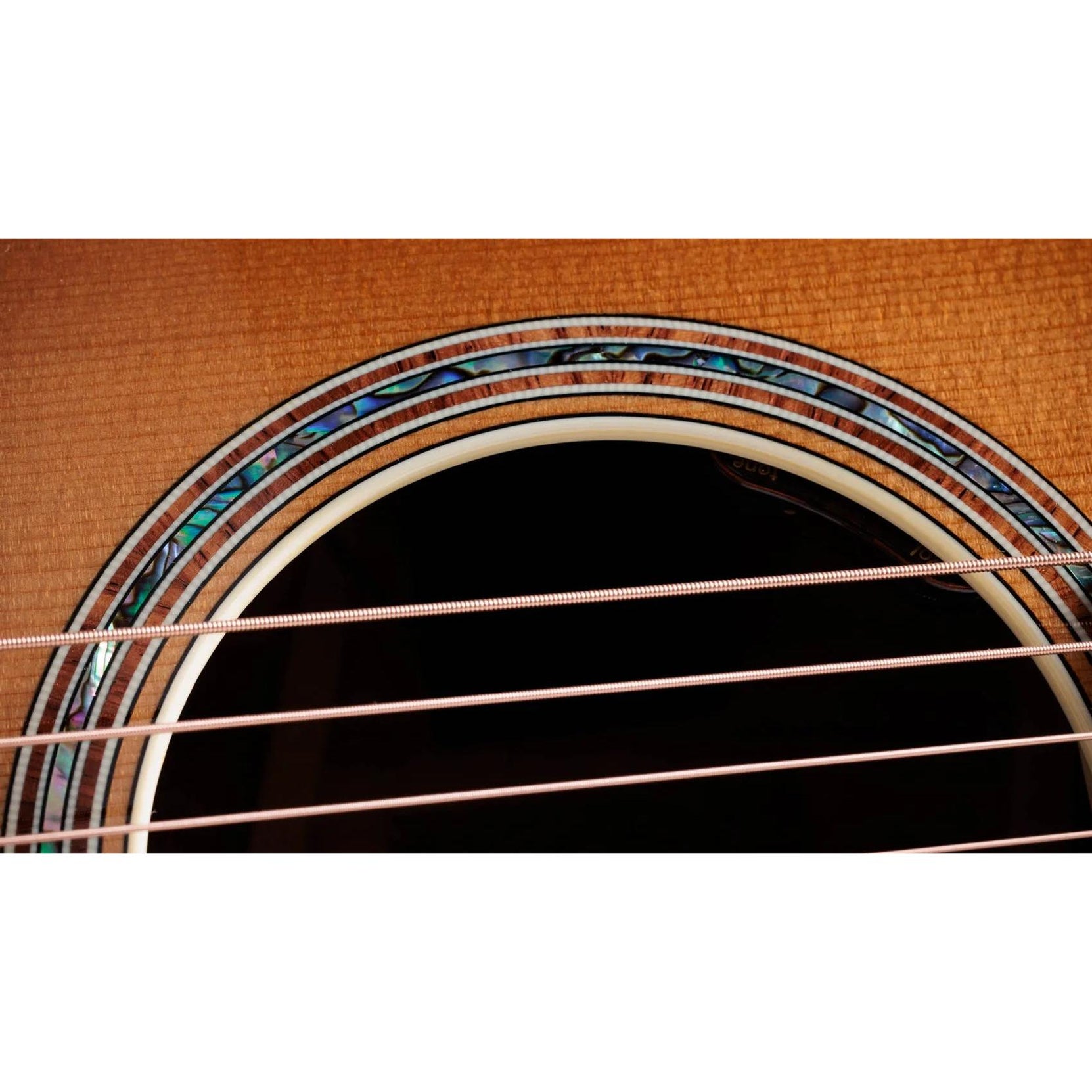 Đàn Guitar Acoustic Taylor Gold Label K14e-Mai Nguyên Music