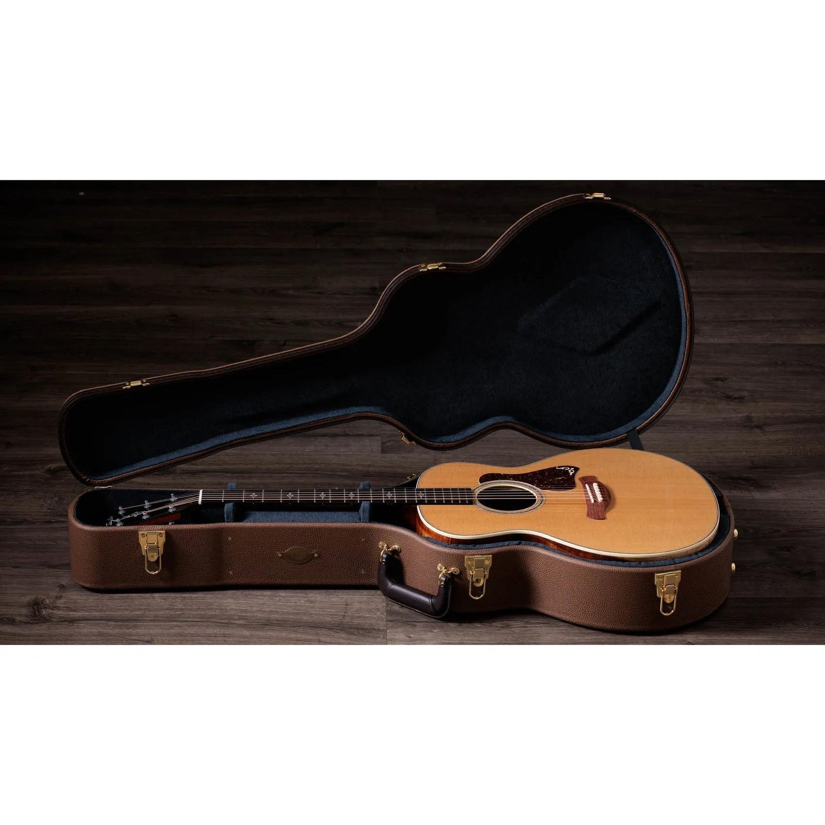 Đàn Guitar Acoustic Taylor Gold Label K14e-Mai Nguyên Music