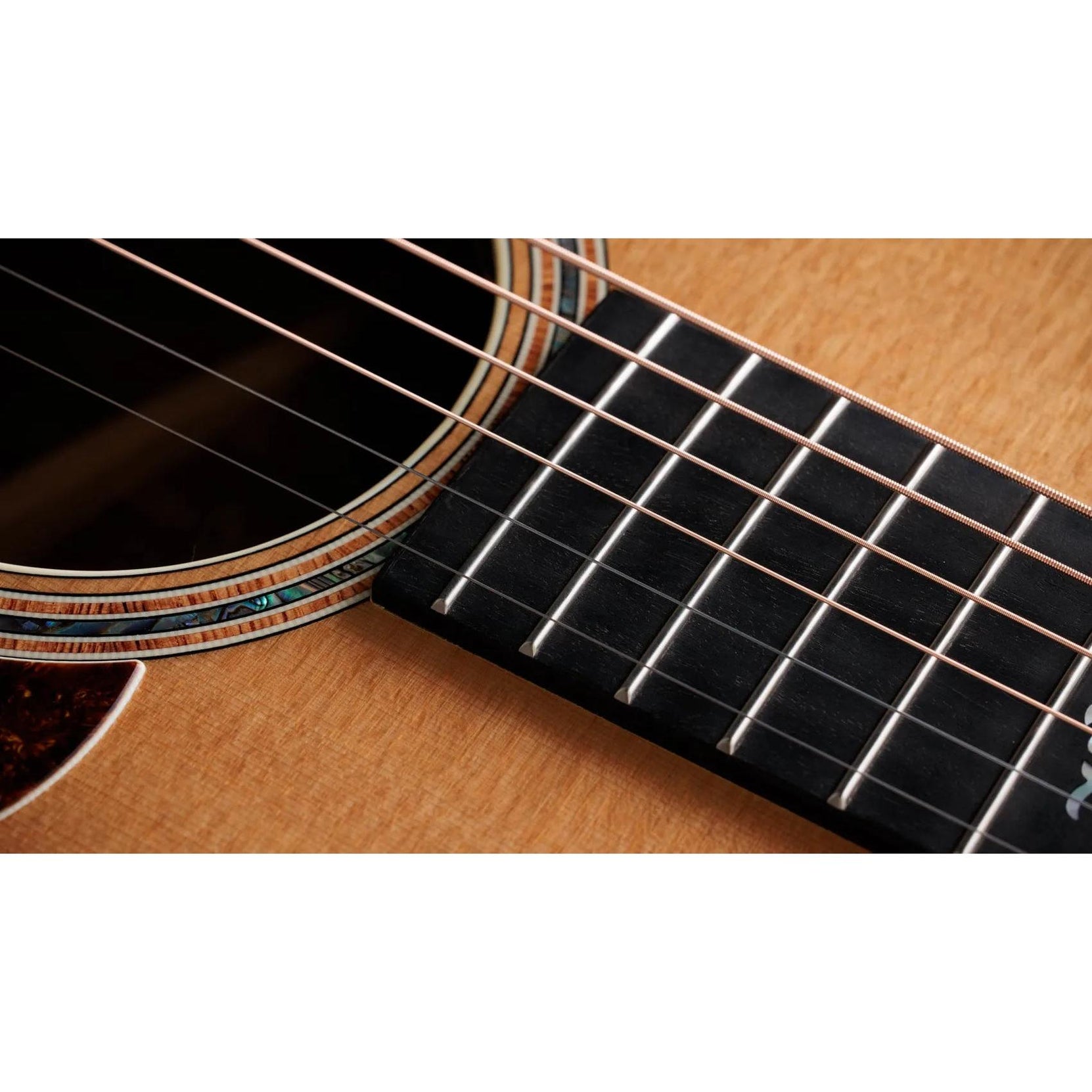 Đàn Guitar Acoustic Taylor Gold Label K14e-Mai Nguyên Music