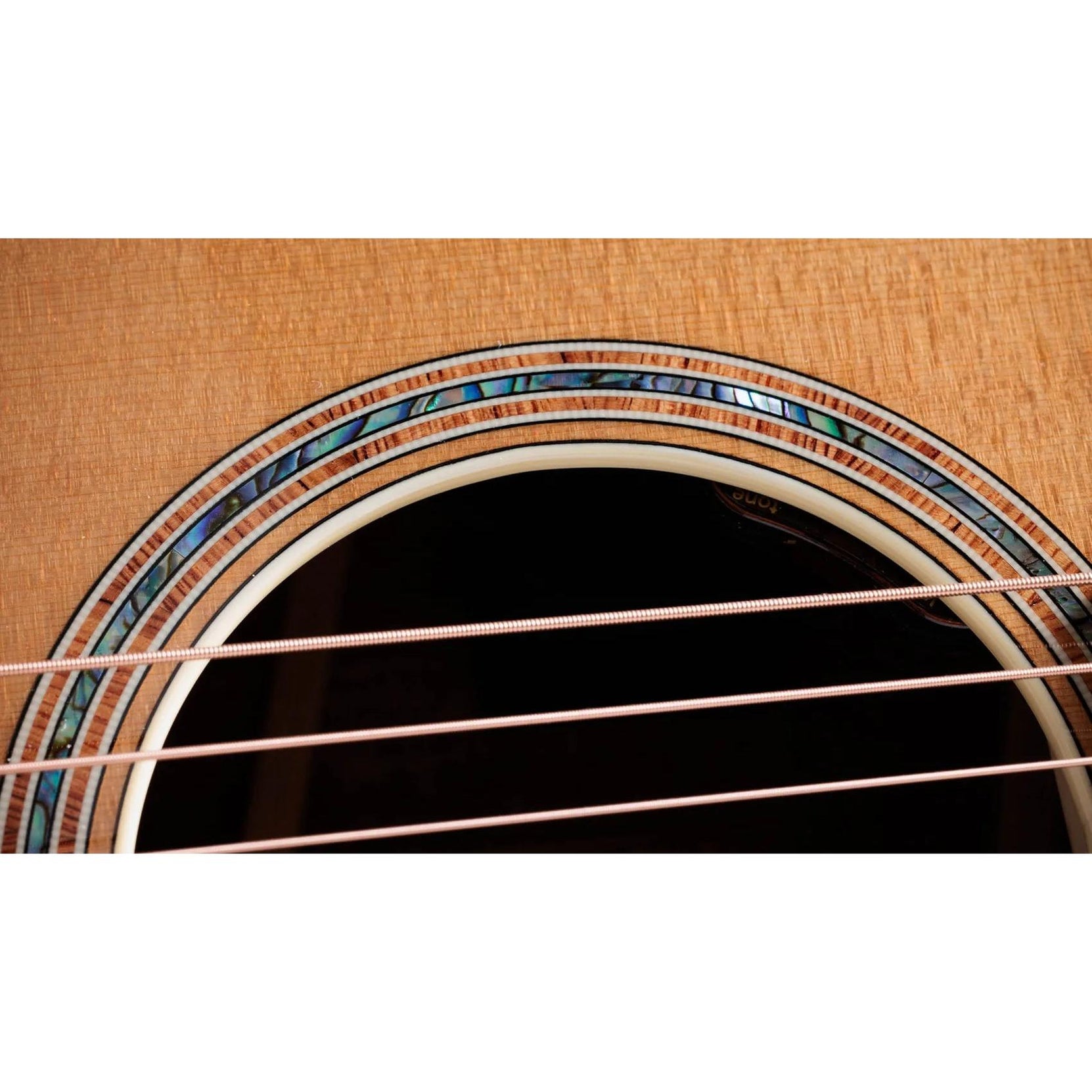 Đàn Guitar Acoustic Taylor Gold Label K14e-Mai Nguyên Music