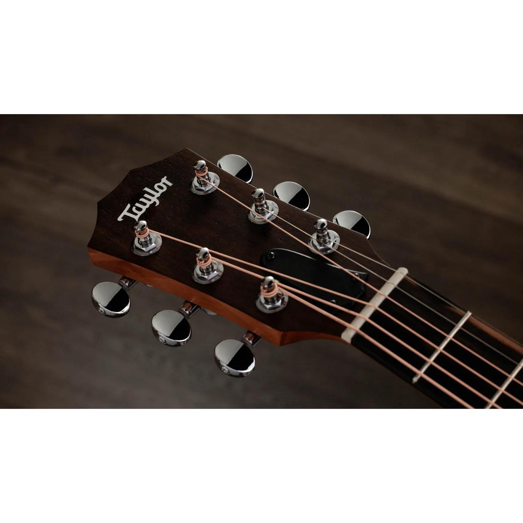 Đàn Guitar Acoustic Taylor GS Mini-e Rosewood-Mai Nguyên Music