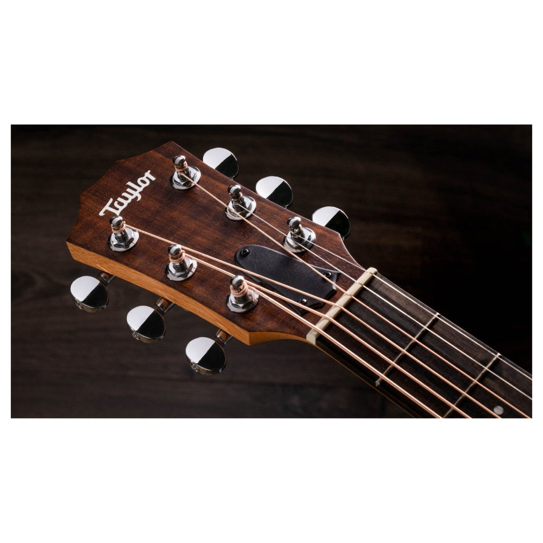 Đàn Guitar Acoustic Taylor GS Mini-e Rosewood w/Bag-Mai Nguyên Music