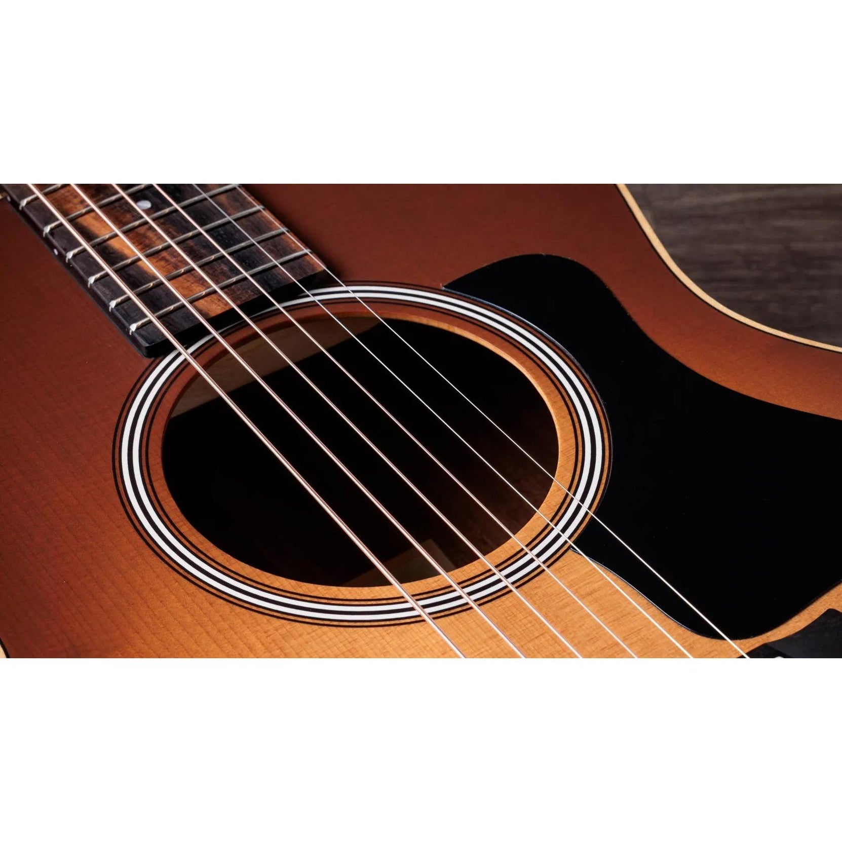 Đàn Guitar Acoustic Taylor GS Mini-e Special Edition - 2026-Mai Nguyên Music