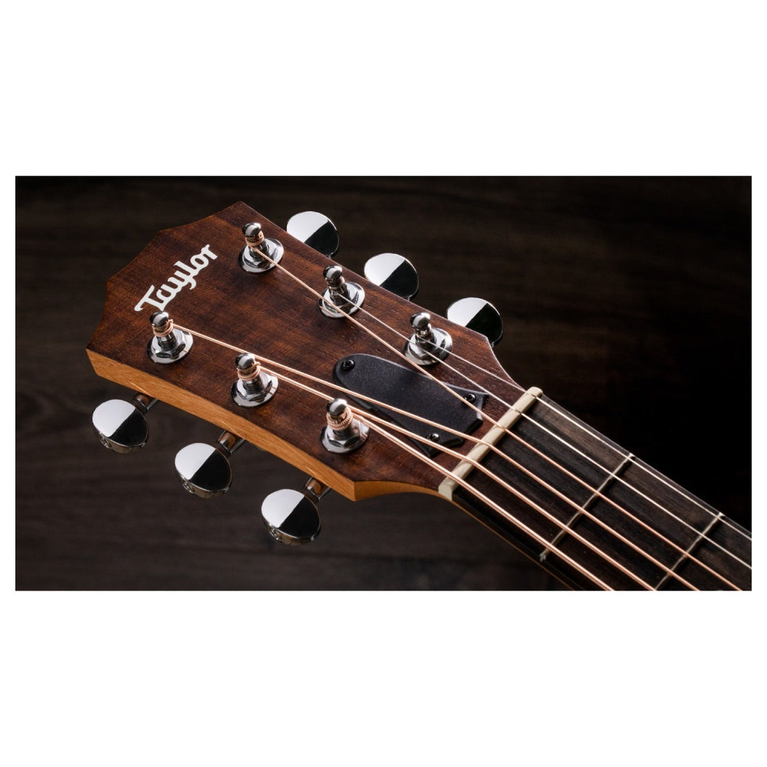 Đàn Guitar Acoustic Taylor GS Mini Rosewood w/Bag-Mai Nguyên Music