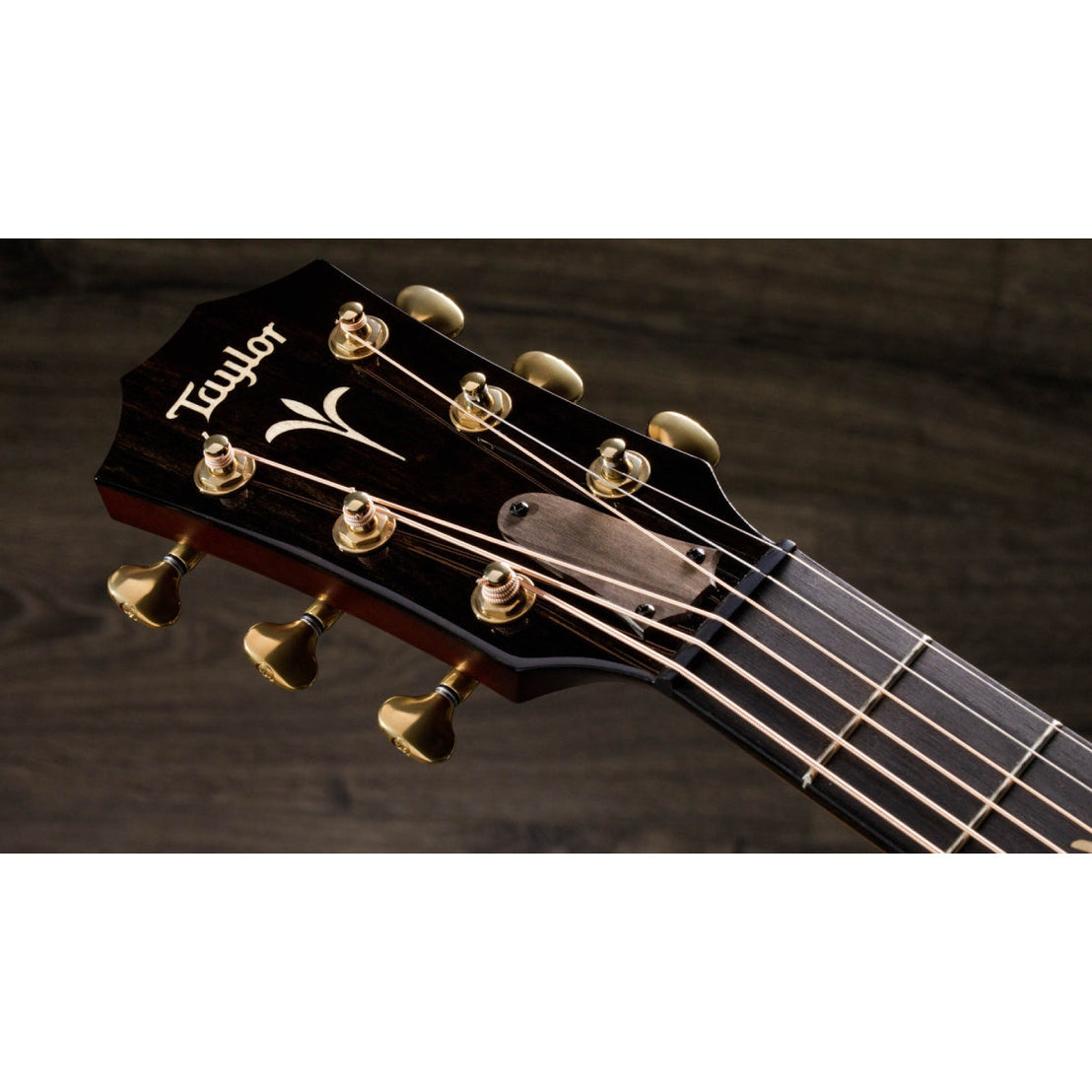 Đàn Guitar Acoustic Taylor GT K21e w/Case-Mai Nguyên Music