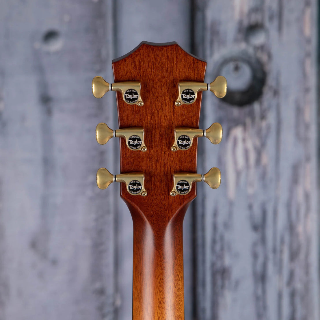 Đàn Guitar Acoustic Taylor GT K21e w/Case-Mai Nguyên Music