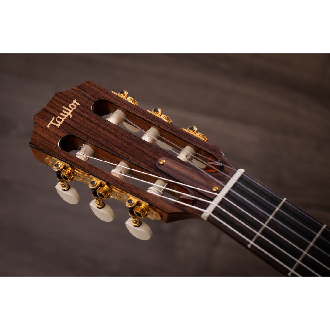 Đàn Guitar Acoustic Taylor Jason Mraz Signature Model (JMSM) w/Case-Mai Nguyên Music