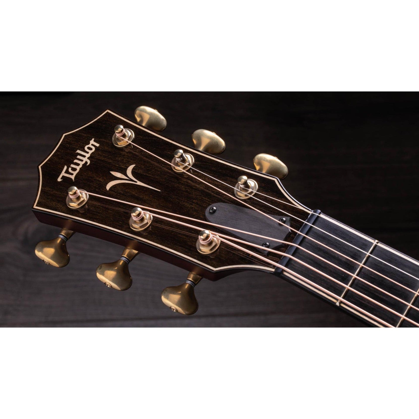 Đàn Guitar Acoustic Taylor K26ce-Mai Nguyên Music