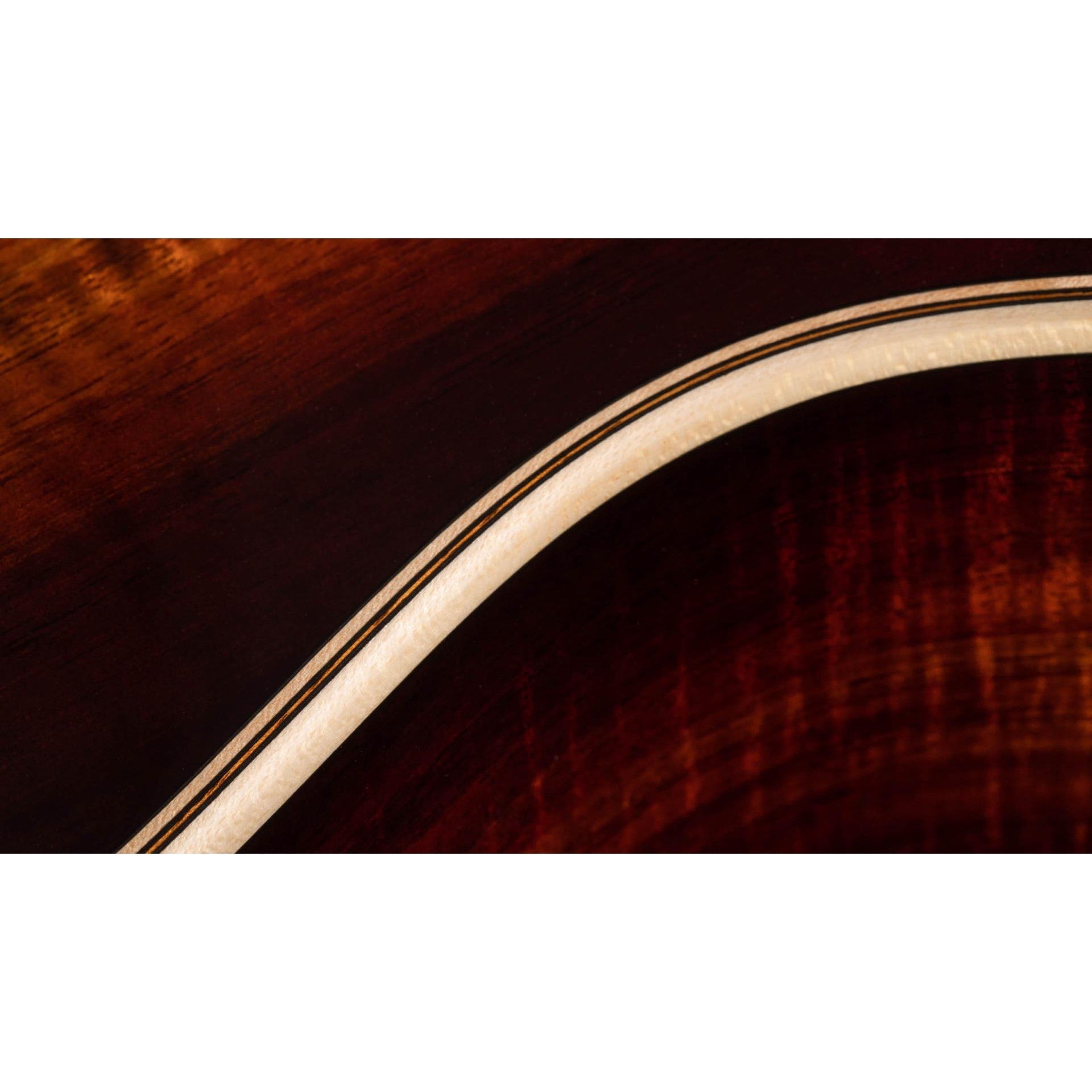 Đàn Guitar Acoustic Taylor K26ce-Mai Nguyên Music