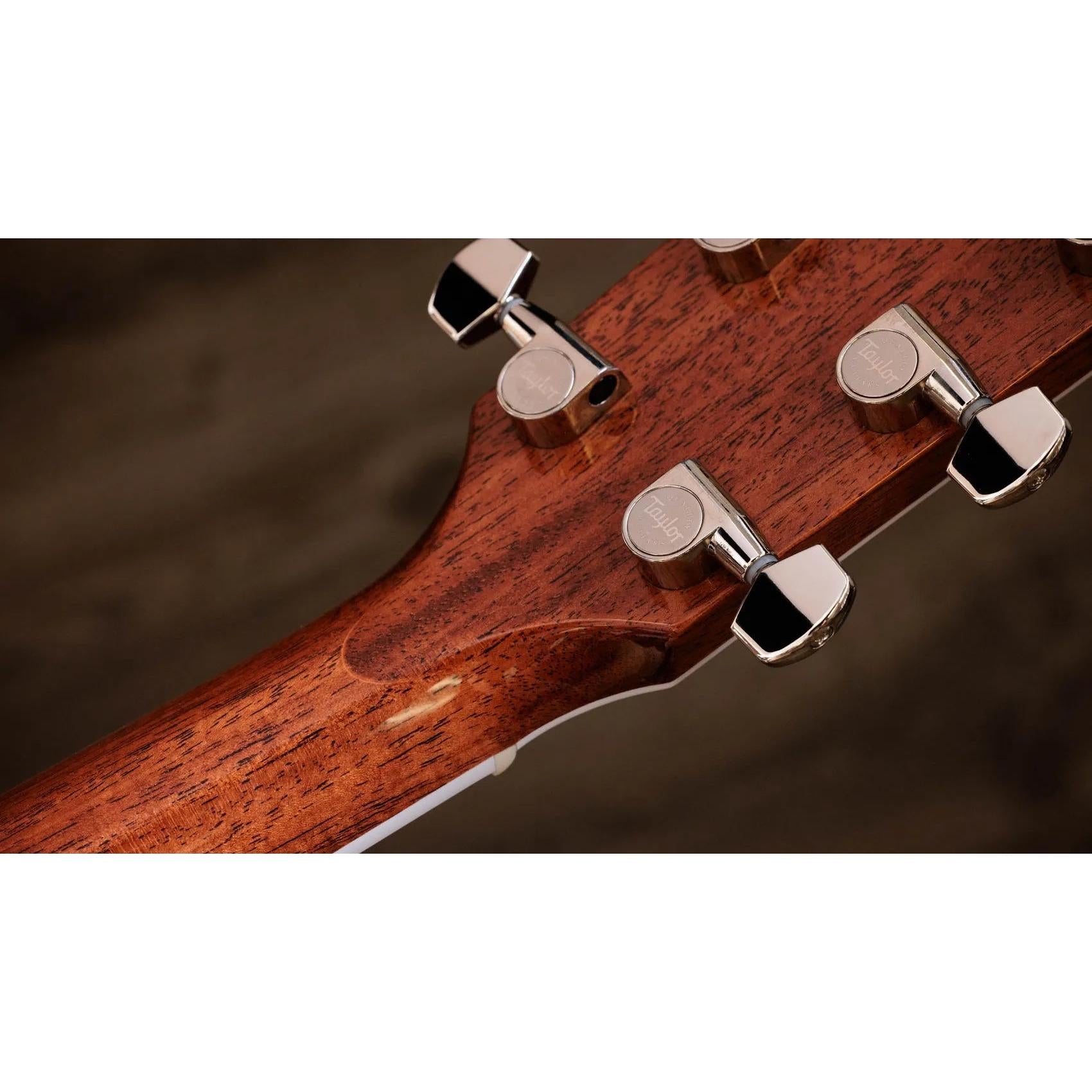 Đàn Guitar Acoustic Taylor Legacy 815e - Natural-Mai Nguyên Music