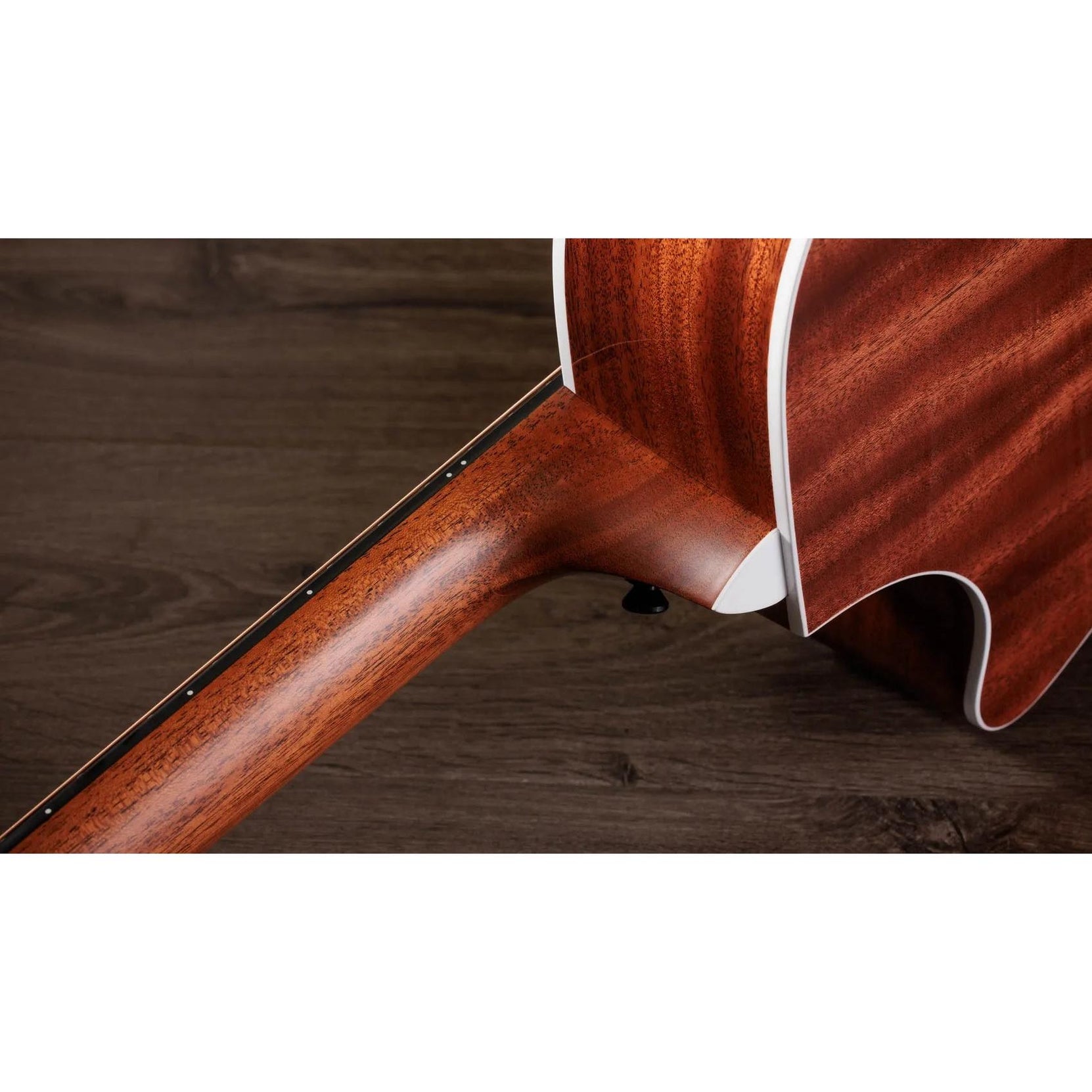 Đàn Guitar Acoustic Taylor Next Generation 512ce - Natural-Mai Nguyên Music