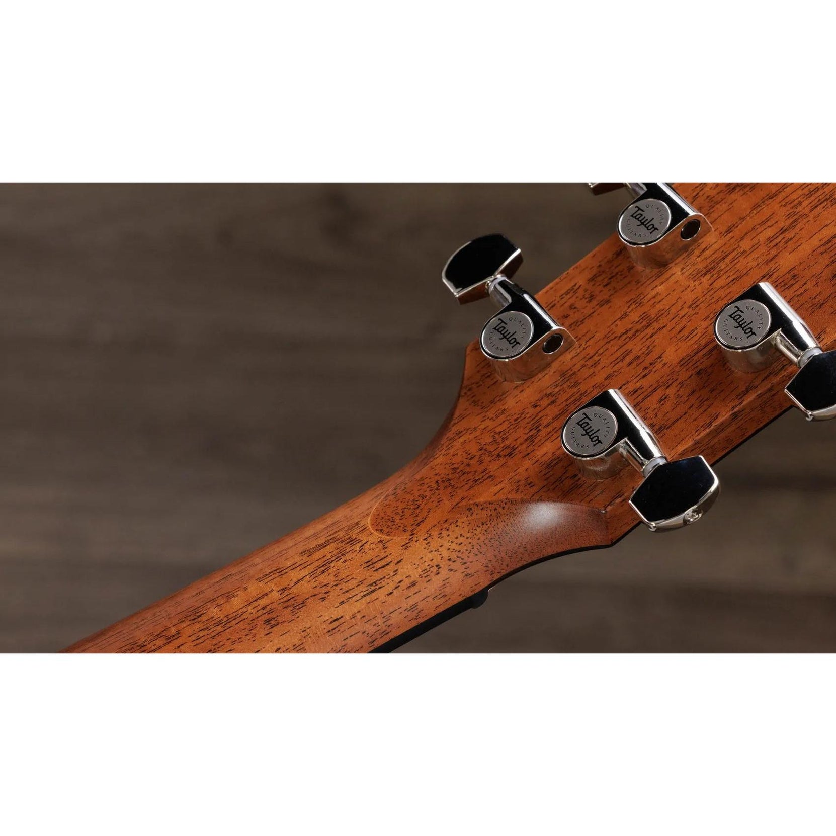 Đàn Guitar Acoustic Taylor Next Generation 512ce - Natural-Mai Nguyên Music