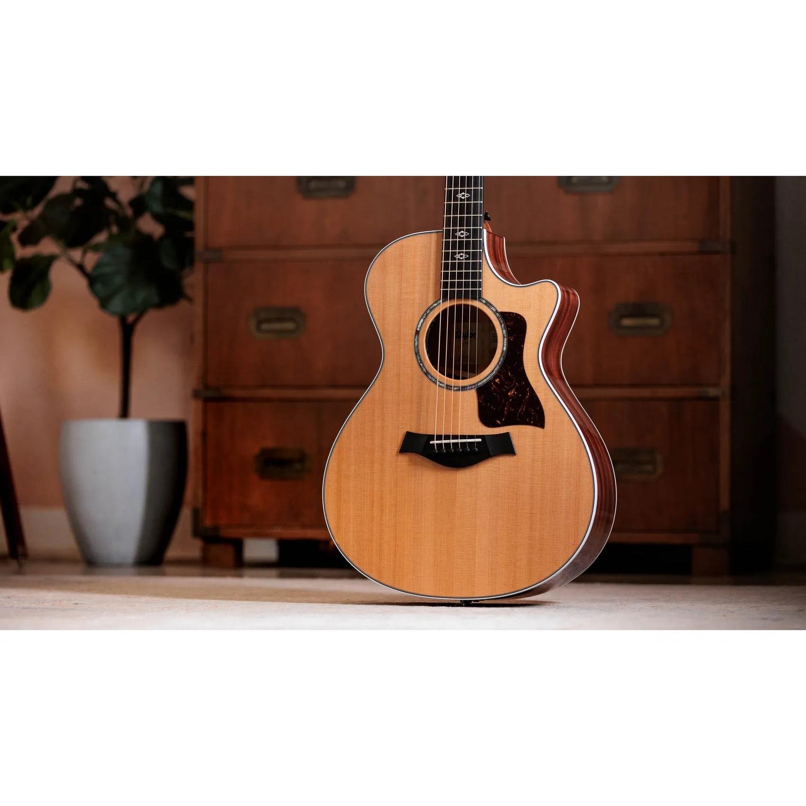 Đàn Guitar Acoustic Taylor Next Generation 512ce - Natural-Mai Nguyên Music