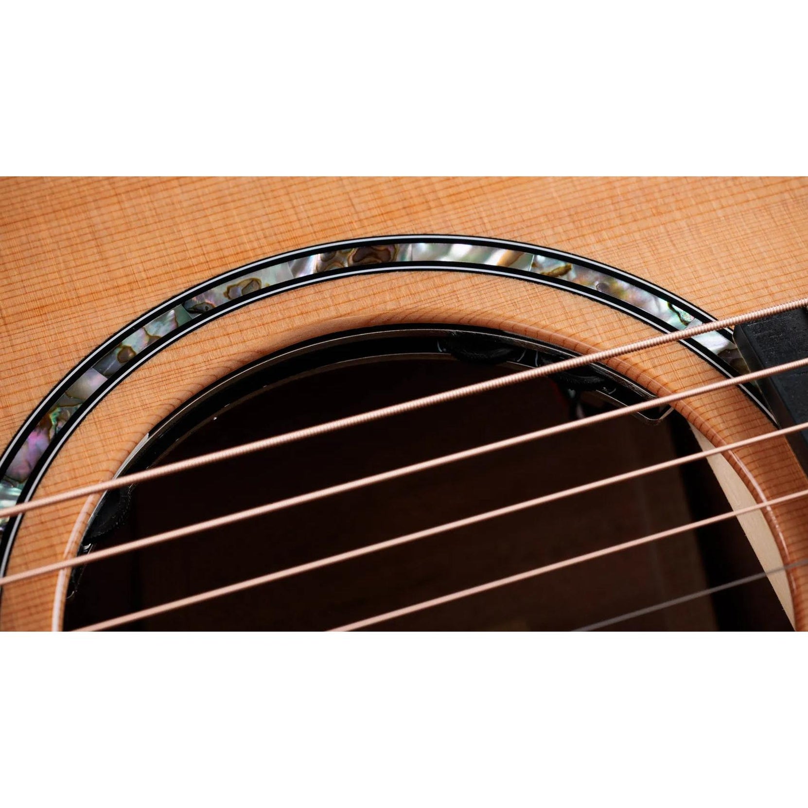 Đàn Guitar Acoustic Taylor Next Generation 512ce - Natural-Mai Nguyên Music