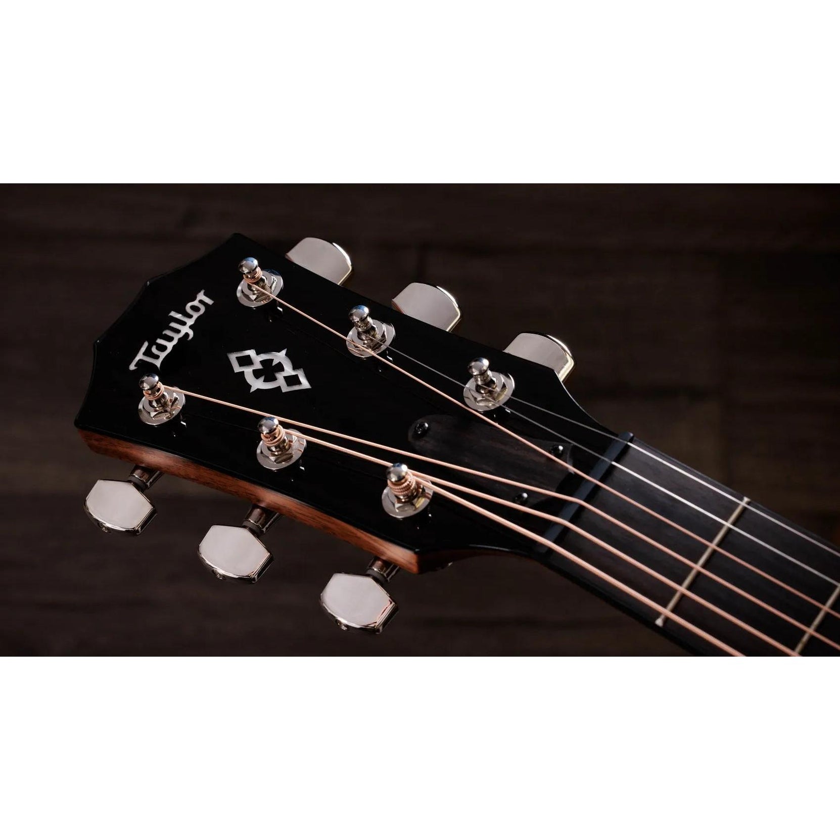 Đàn Guitar Acoustic Taylor Next Generation 514ce - Natural-Mai Nguyên Music