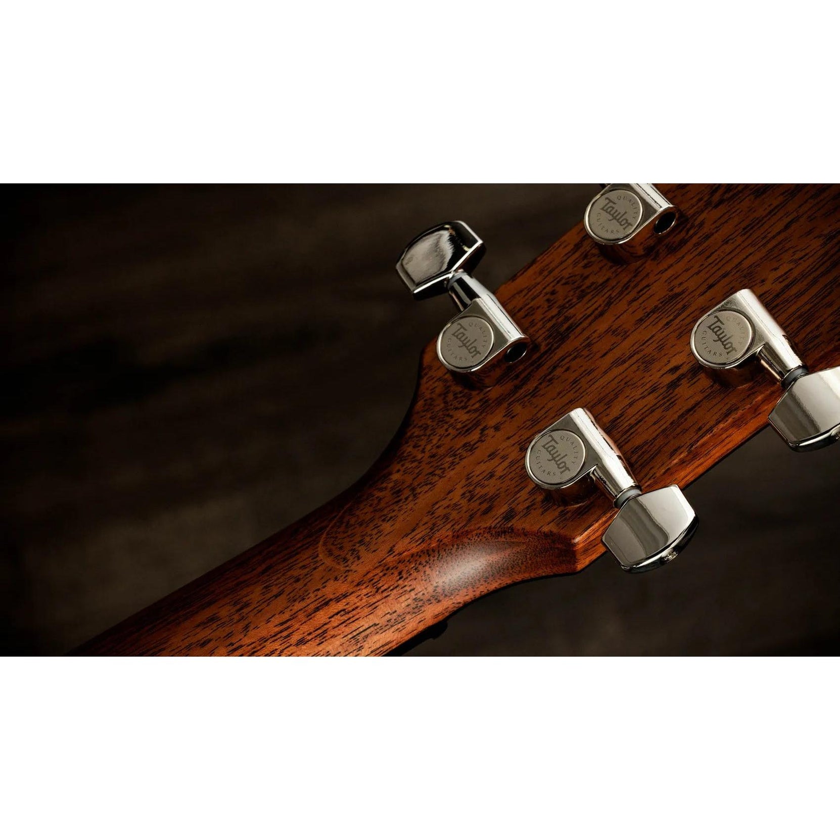 Đàn Guitar Acoustic Taylor Next Generation 514ce - Natural-Mai Nguyên Music