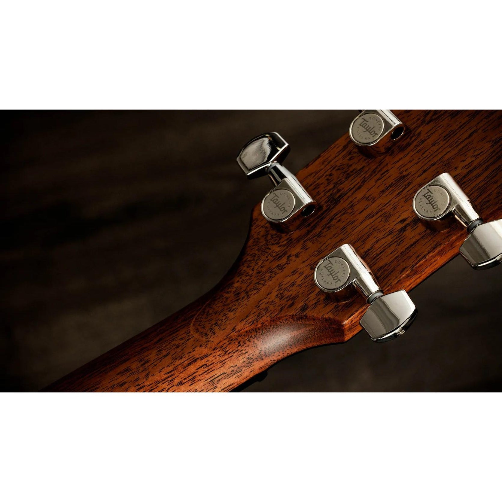 Đàn Guitar Acoustic Taylor Next Generation 514ce - Natural-Mai Nguyên Music