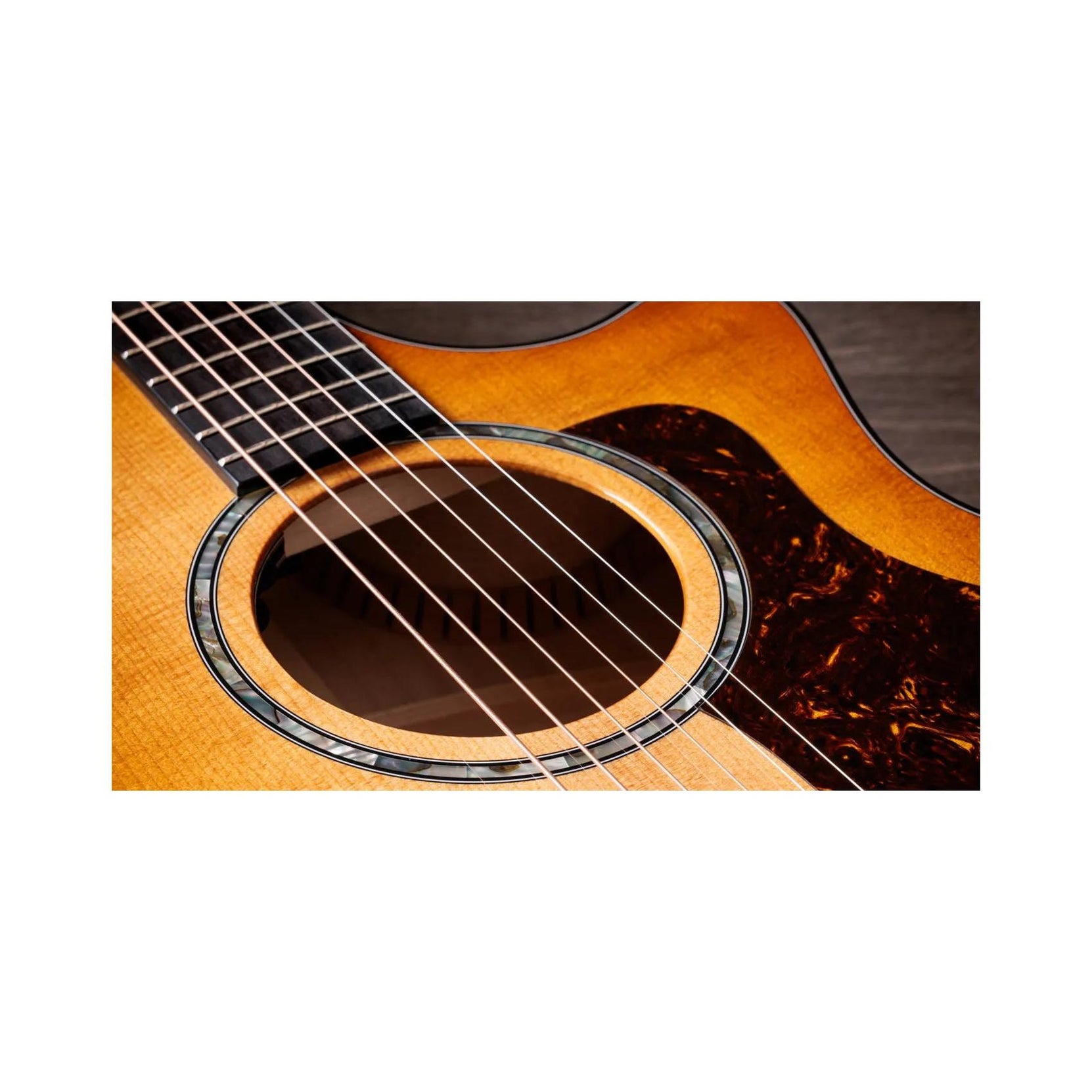 Đàn Guitar Acoustic Taylor Next Generation 614ce - Antique Blond-Mai Nguyên Music