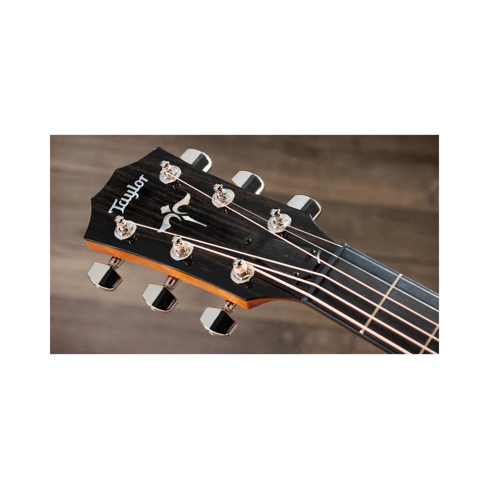 Đàn Guitar Acoustic Taylor Next Generation 614ce - Antique Blond-Mai Nguyên Music