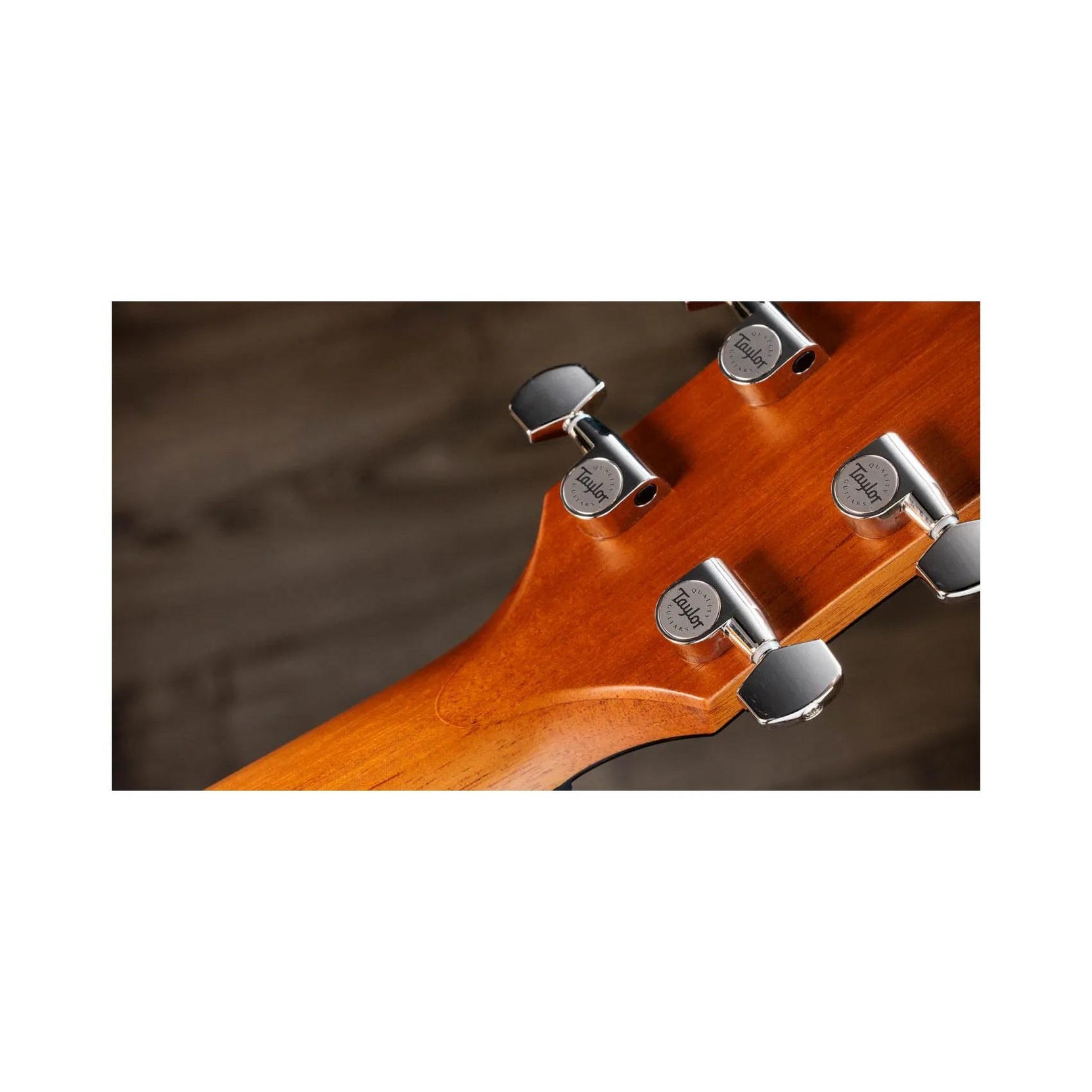 Đàn Guitar Acoustic Taylor Next Generation 614ce - Antique Blond-Mai Nguyên Music