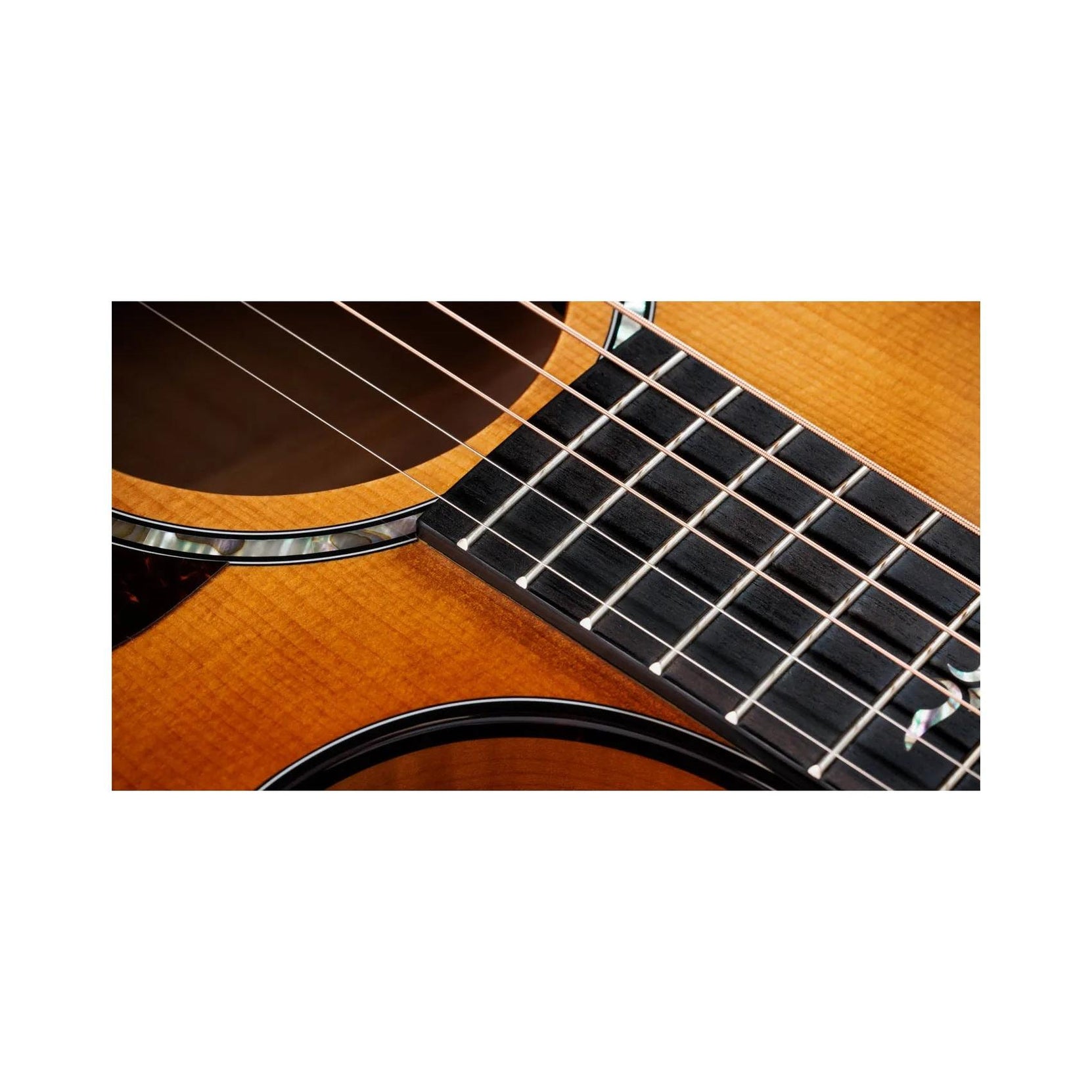 Đàn Guitar Acoustic Taylor Next Generation 614ce - Antique Blond-Mai Nguyên Music