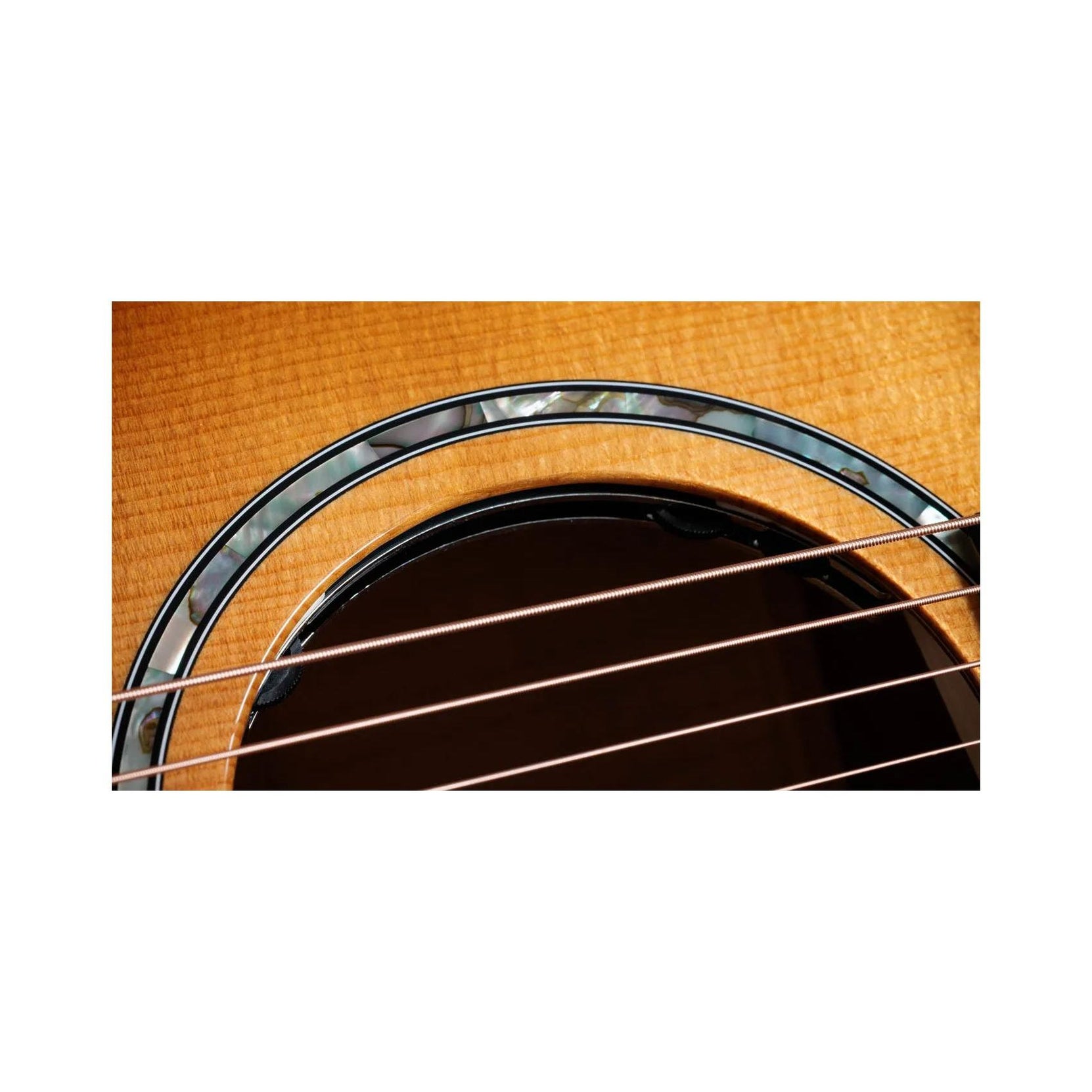 Đàn Guitar Acoustic Taylor Next Generation 614ce - Antique Blond-Mai Nguyên Music