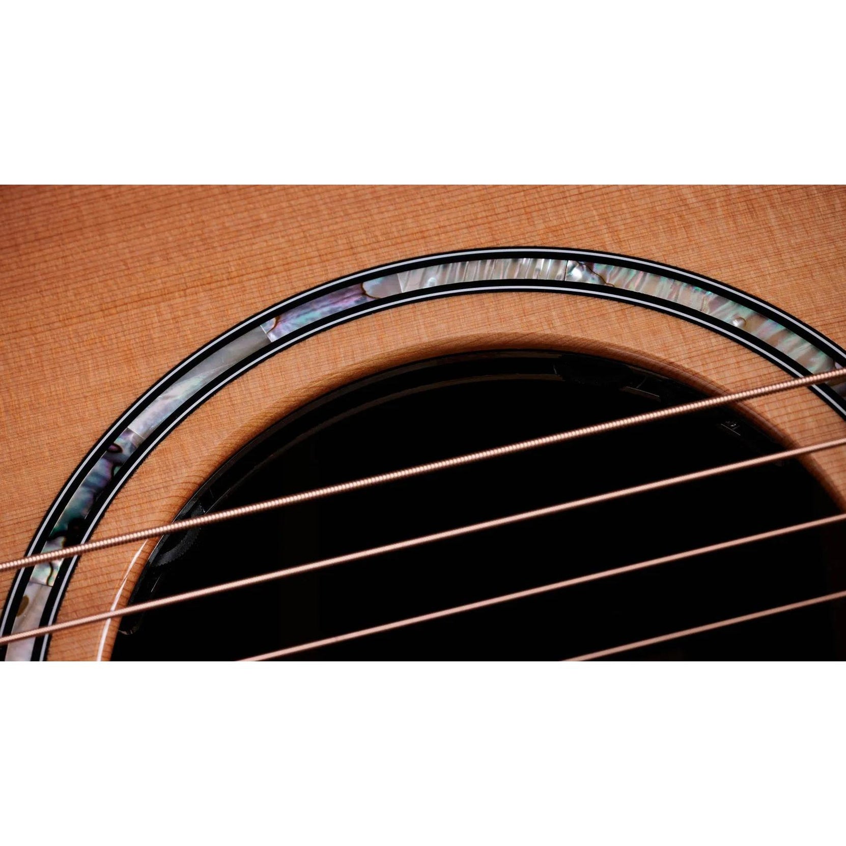 Đàn Guitar Acoustic Taylor Next Generation 714ce - Natural-Mai Nguyên Music