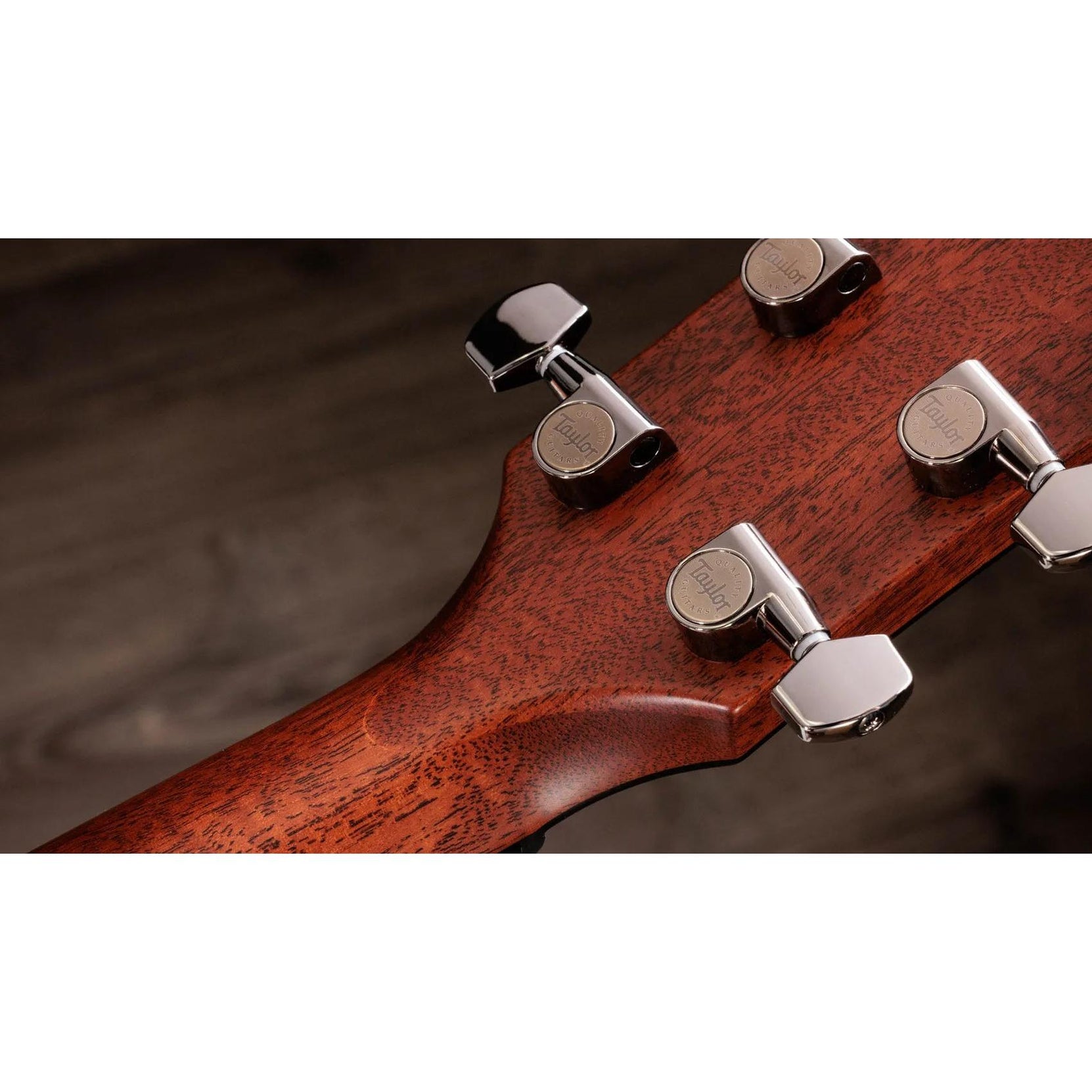 Đàn Guitar Acoustic Taylor Next Generation 814ce - Natural-Mai Nguyên Music