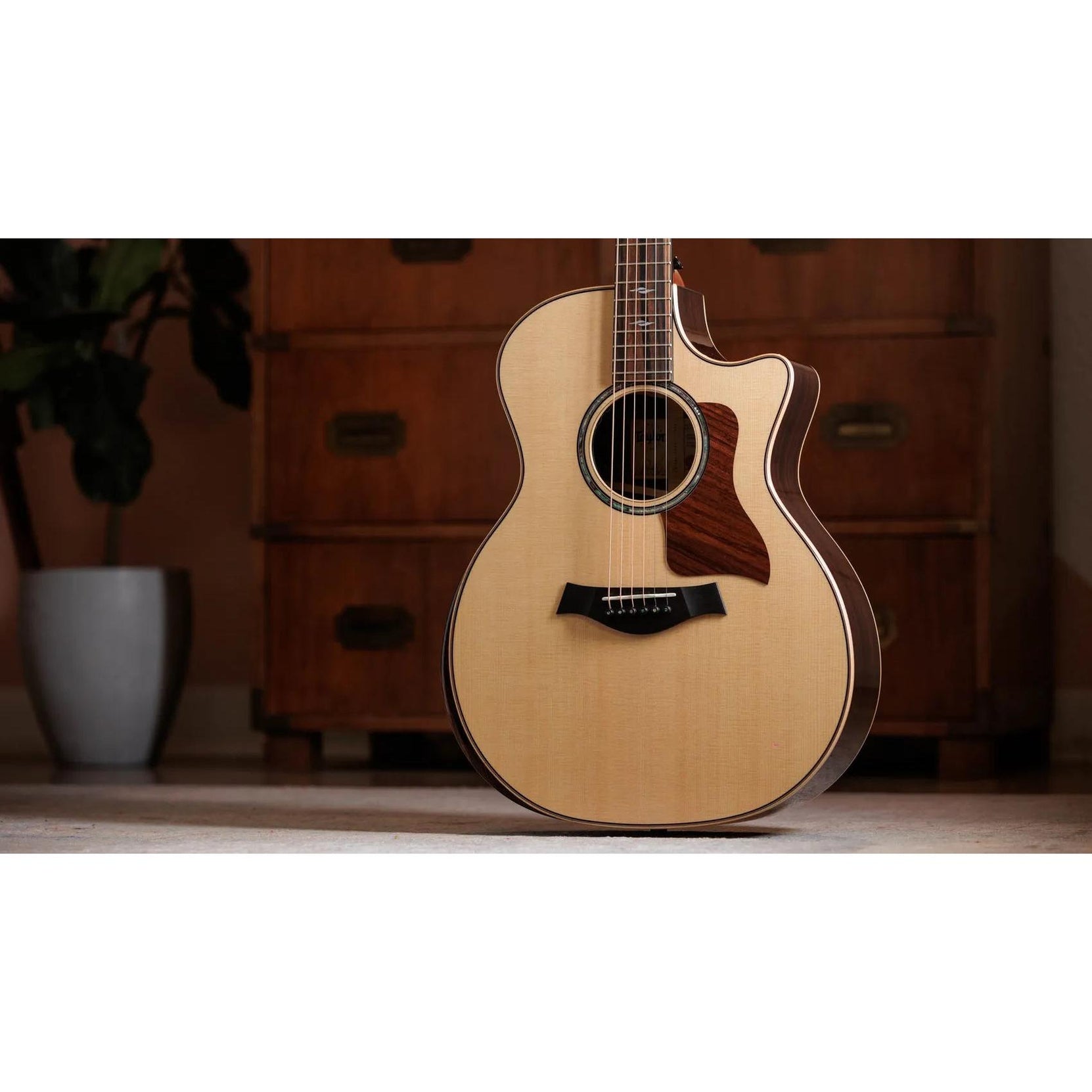 Đàn Guitar Acoustic Taylor Next Generation 814ce - Natural-Mai Nguyên Music