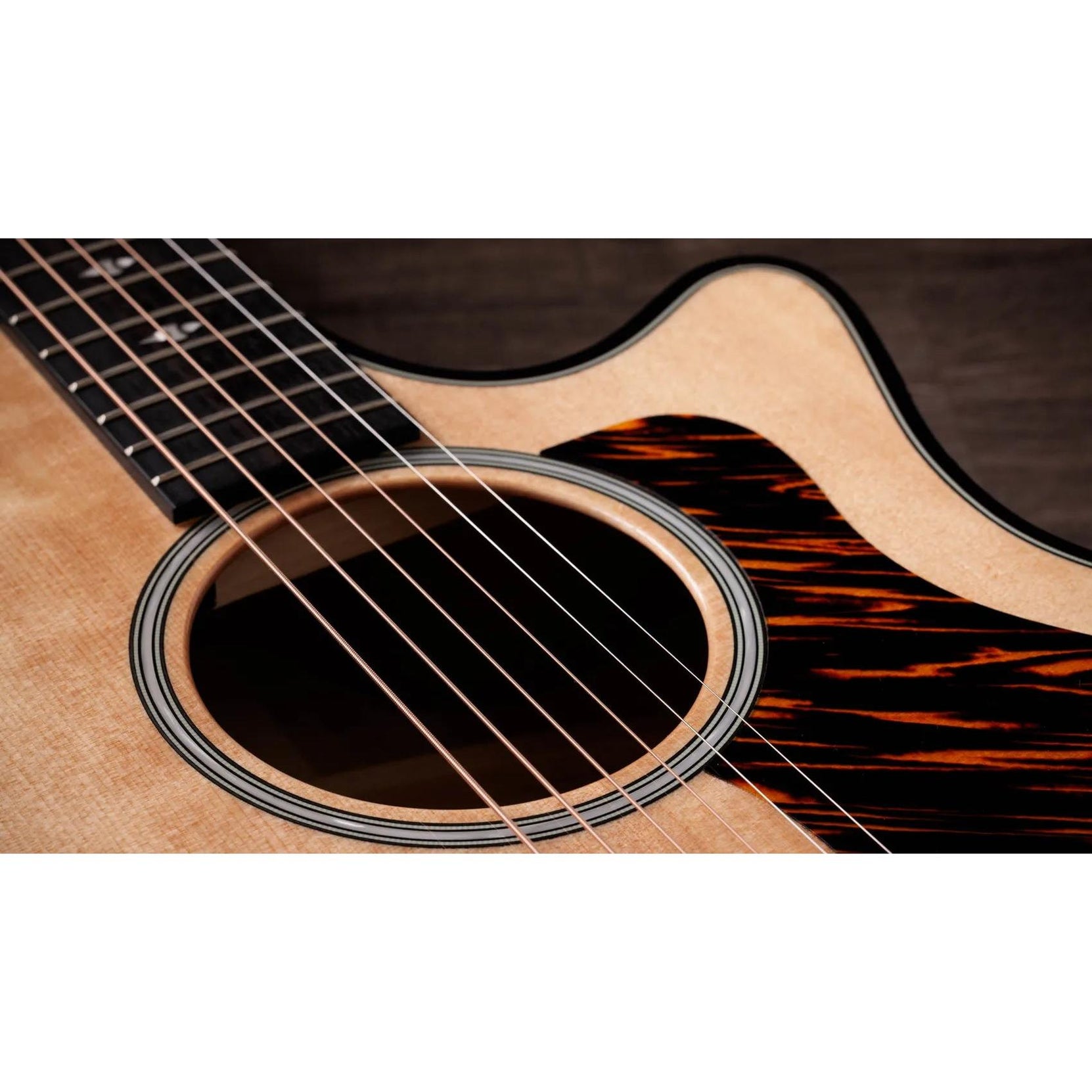 Đàn Guitar Acoustic Taylor Next Generation Builder's Edition 514ce-Mai Nguyên Music