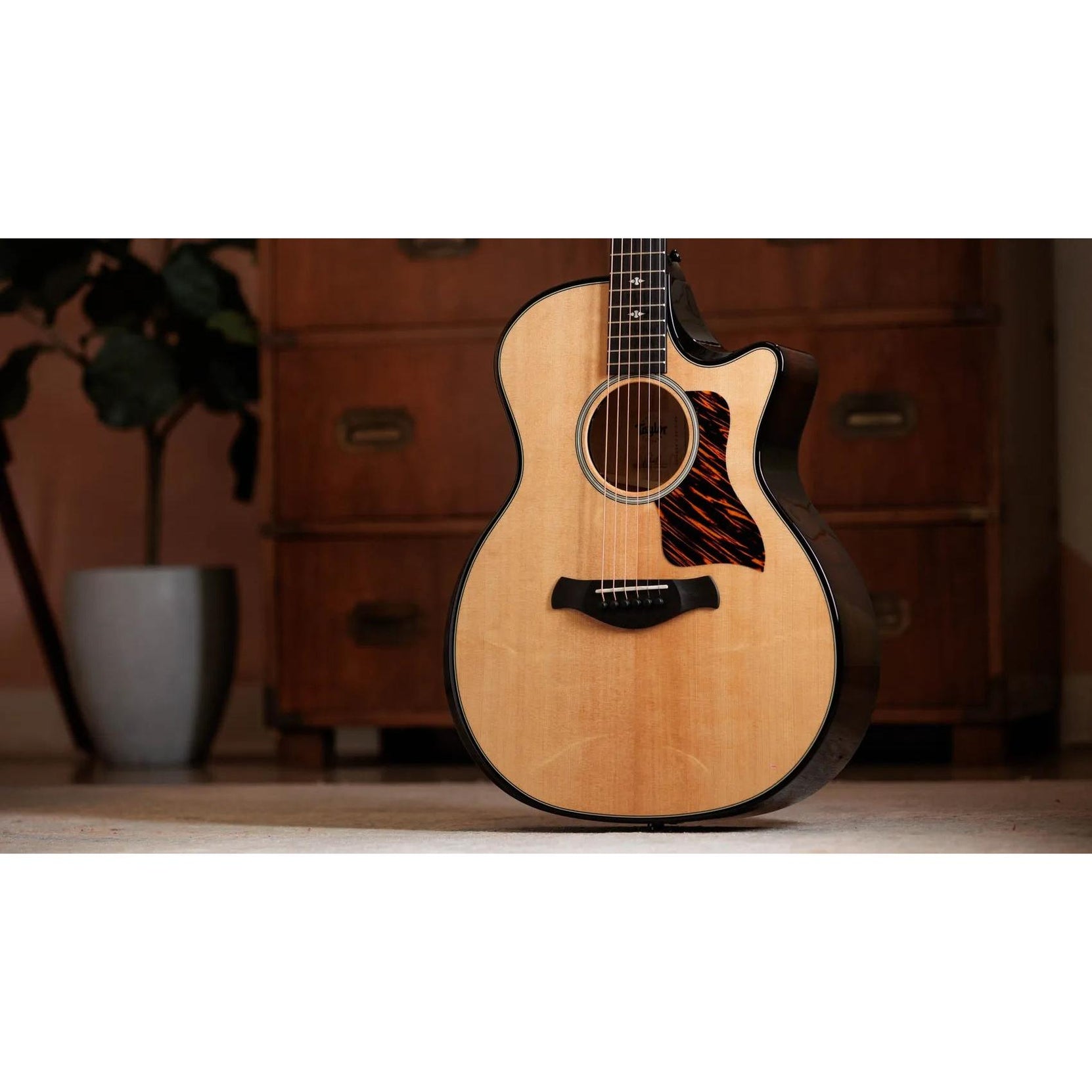 Đàn Guitar Acoustic Taylor Next Generation Builder's Edition 514ce-Mai Nguyên Music