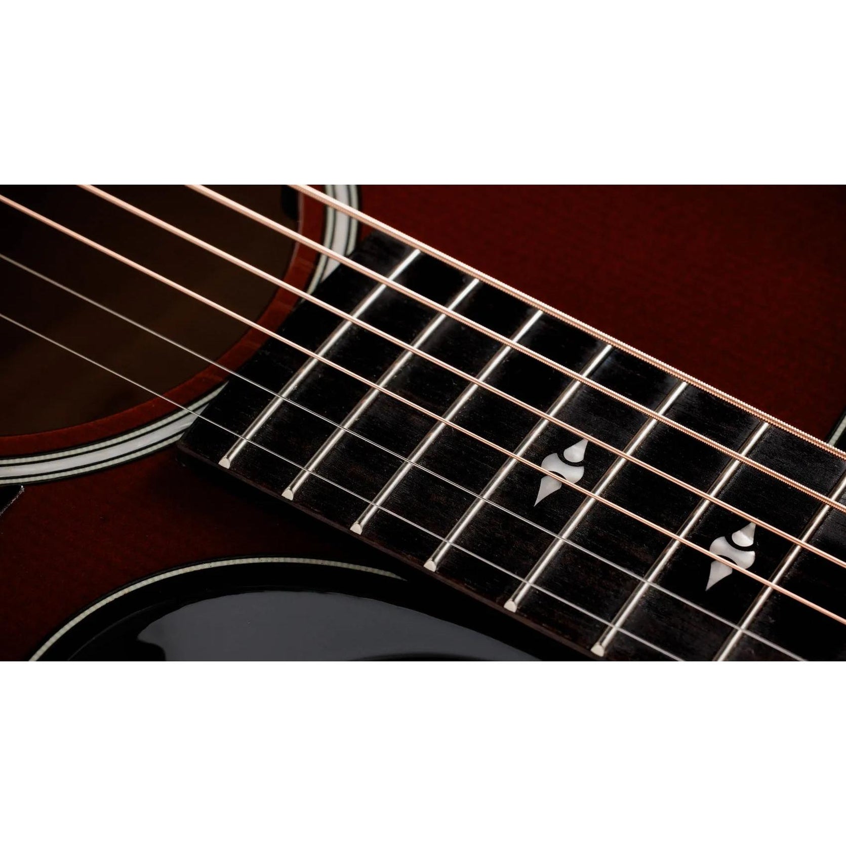 Đàn Guitar Acoustic Taylor Next Generation Builder's Edition 514ce-Mai Nguyên Music