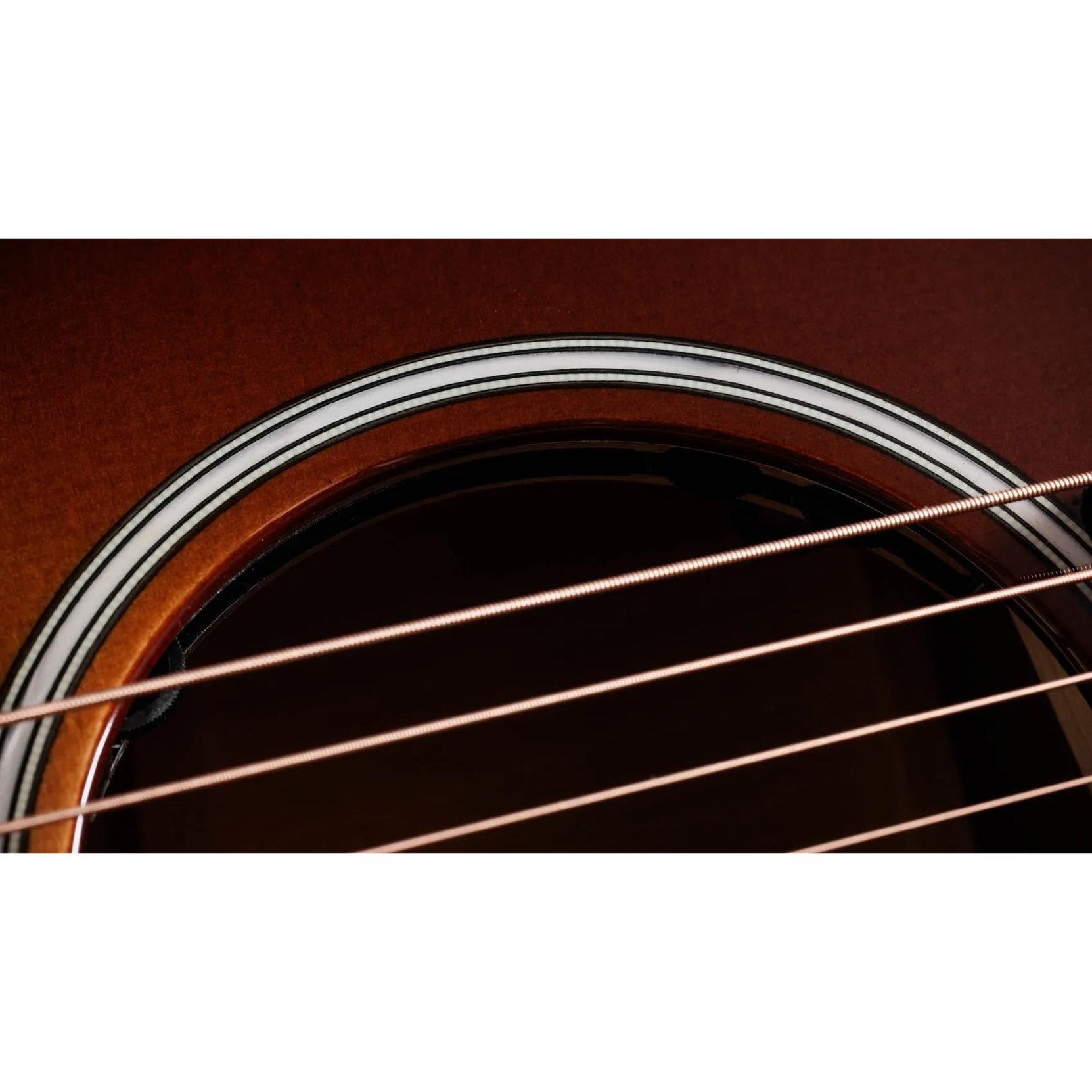 Đàn Guitar Acoustic Taylor Next Generation Builder's Edition 514ce-Mai Nguyên Music