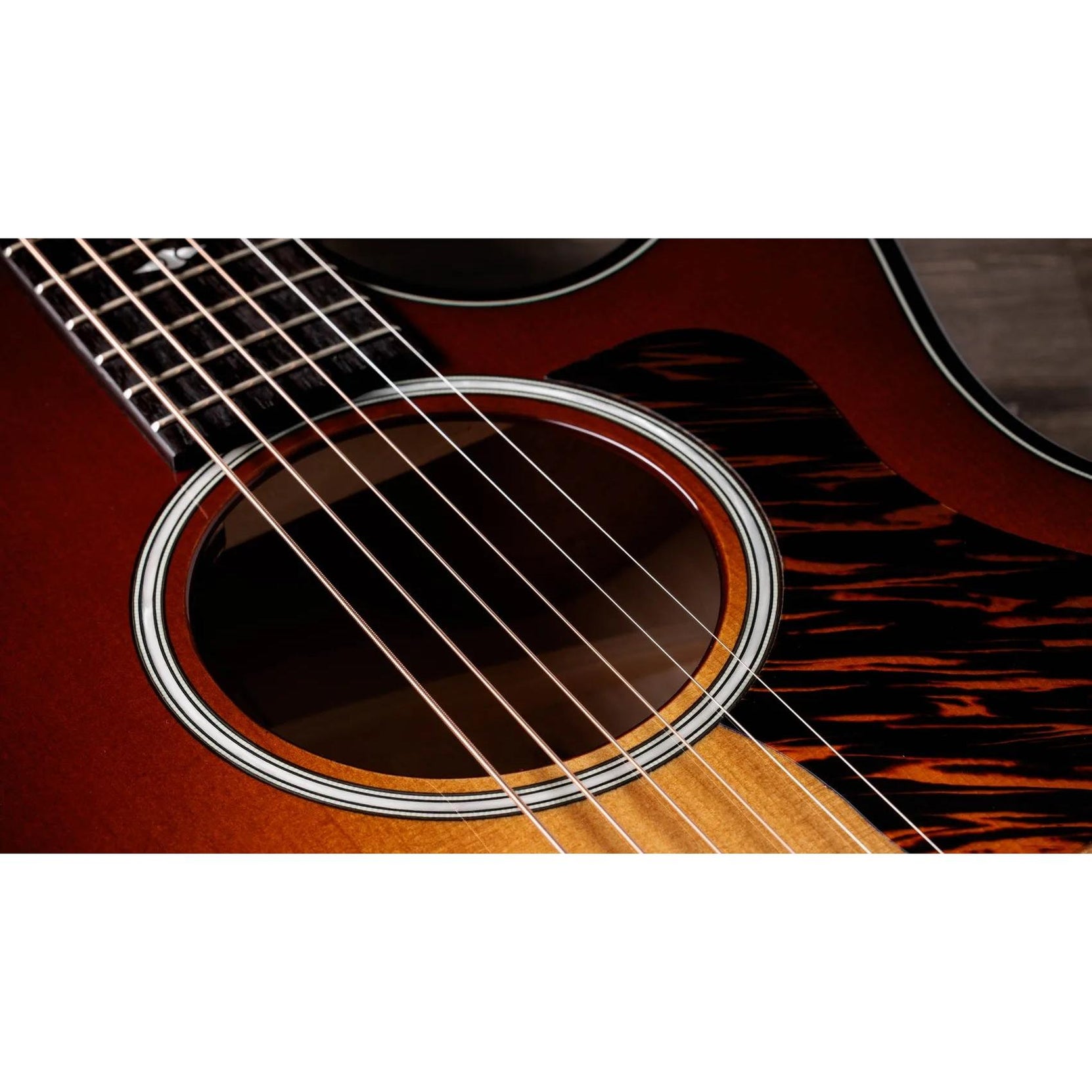 Đàn Guitar Acoustic Taylor Next Generation Builder's Edition 514ce-Mai Nguyên Music