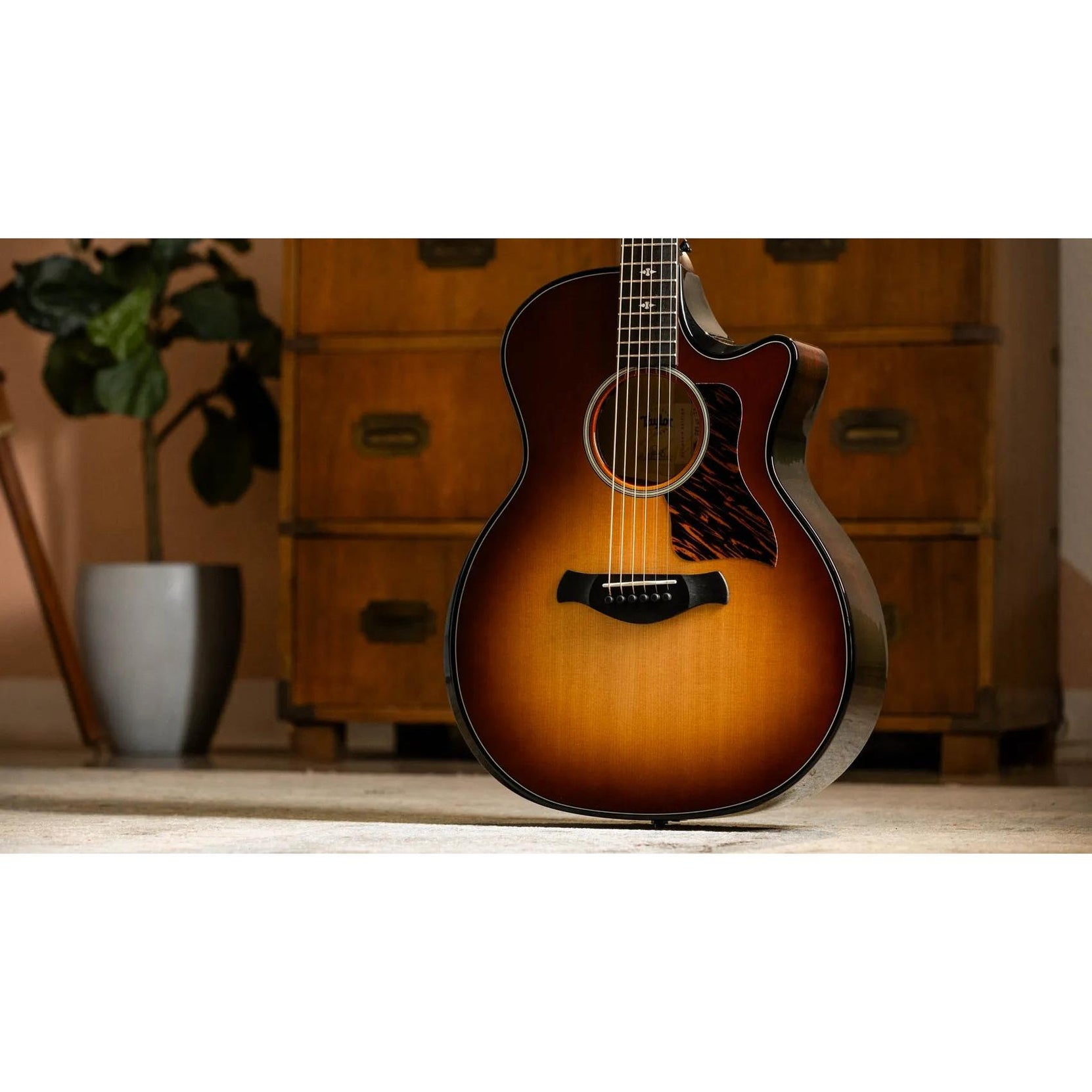 Đàn Guitar Acoustic Taylor Next Generation Builder's Edition 514ce-Mai Nguyên Music