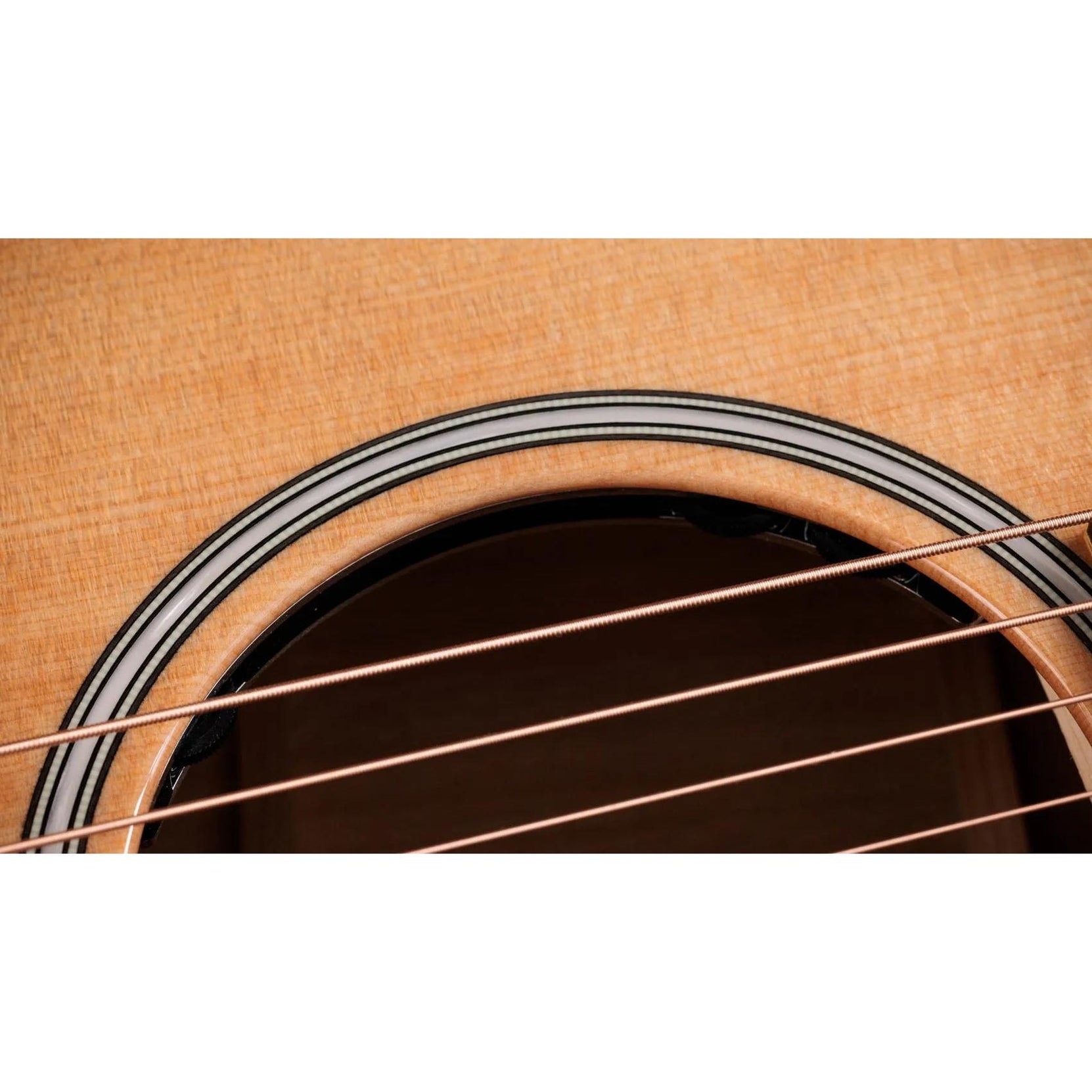Đàn Guitar Acoustic Taylor Next Generation Builder's Edition 514ce-Mai Nguyên Music