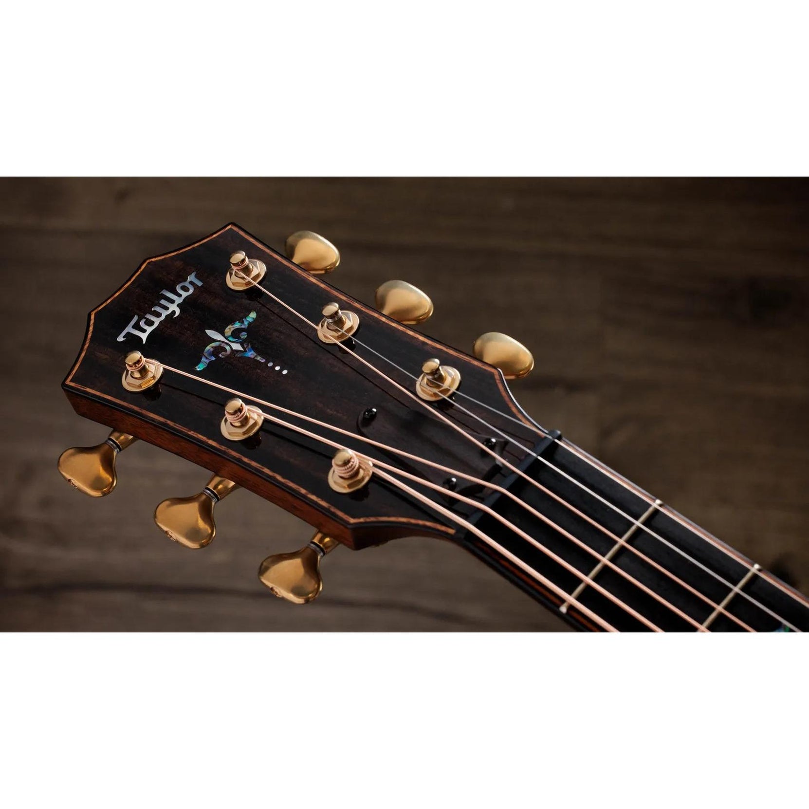Đàn Guitar Acoustic Taylor Next Generation Builder's Edition 914ce Honduran Rosewood - Kona Edgeburst-Mai Nguyên Music