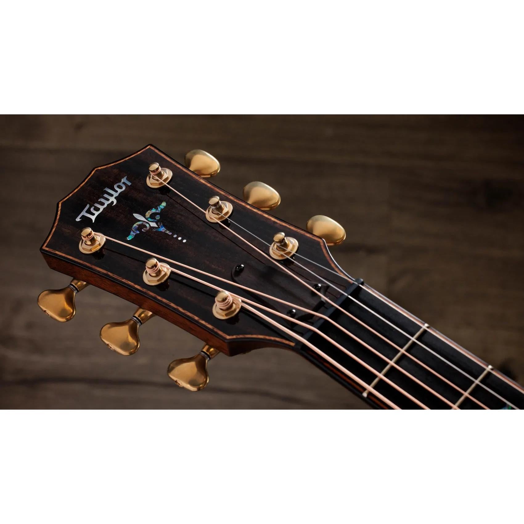 Đàn Guitar Acoustic Taylor Next Generation Builder's Edition 914ce Honduran Rosewood - Kona Edgeburst-Mai Nguyên Music