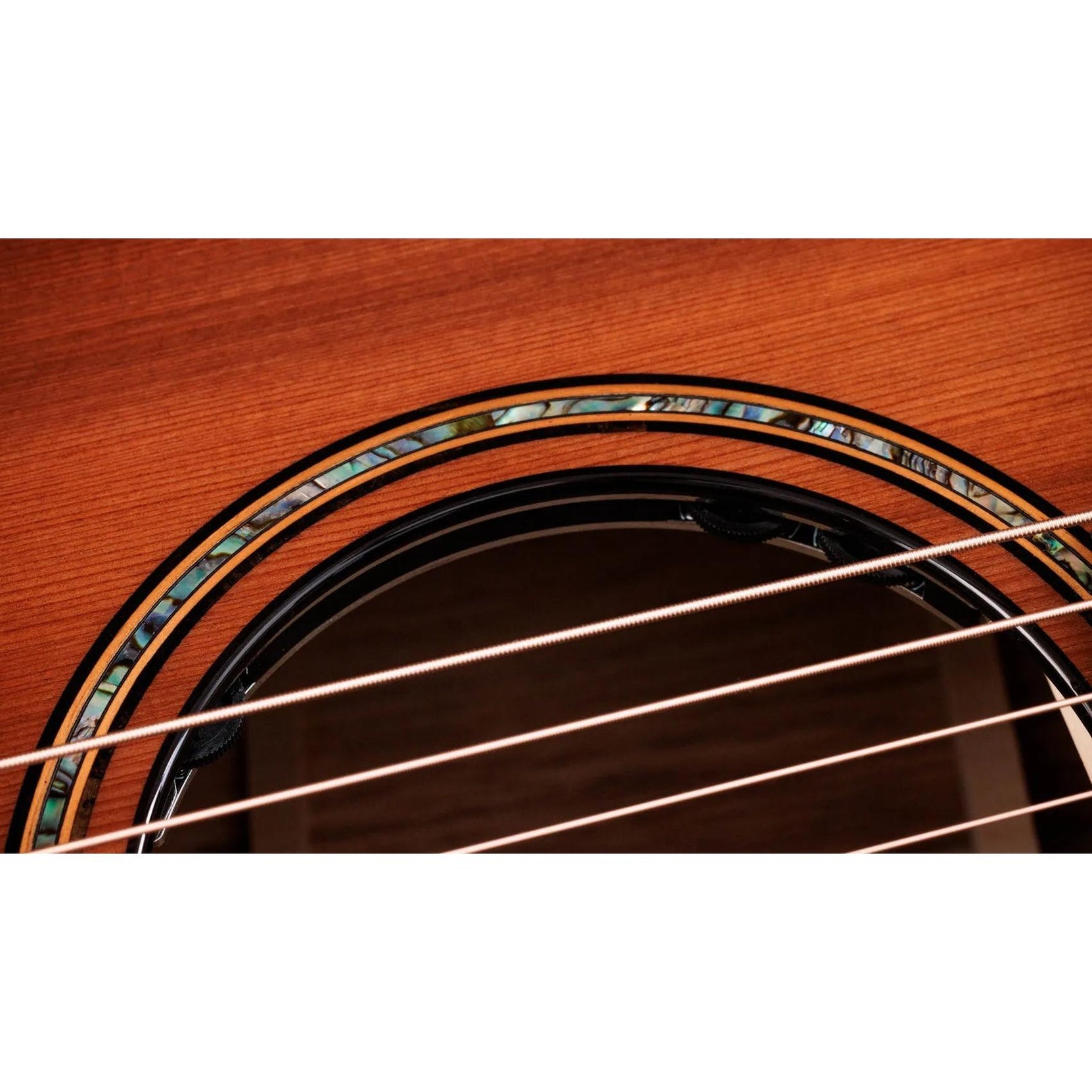 Đàn Guitar Acoustic Taylor Next Generation Builder's Edition 914ce Honduran Rosewood - Kona Edgeburst-Mai Nguyên Music