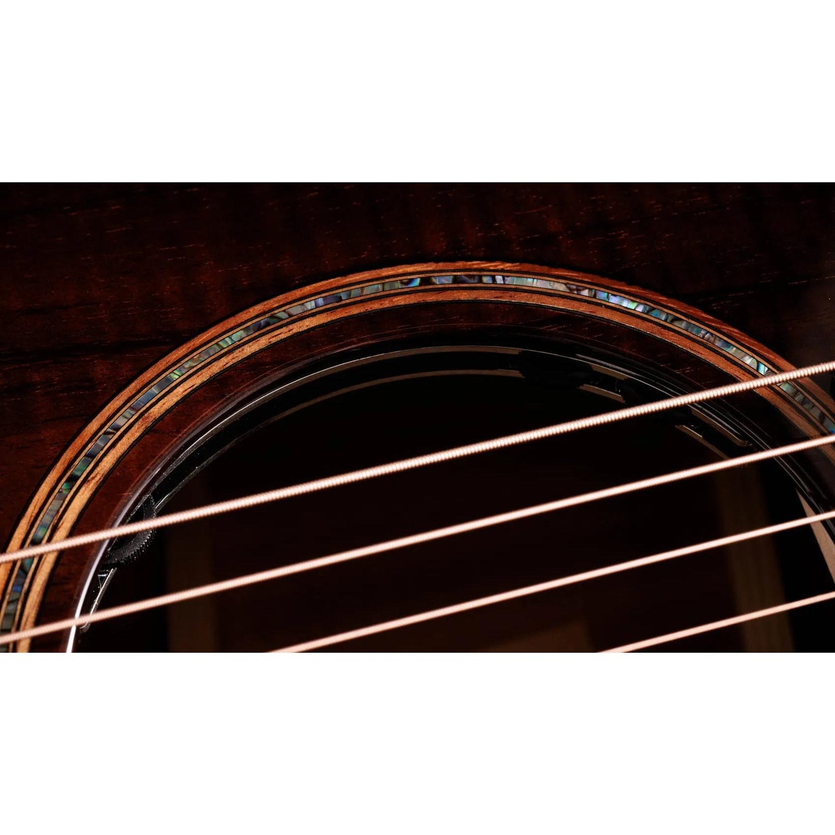 Đàn Guitar Acoustic Taylor Next Generation Builders Edition K24ce - Kona Edgeburst-Mai Nguyên Music