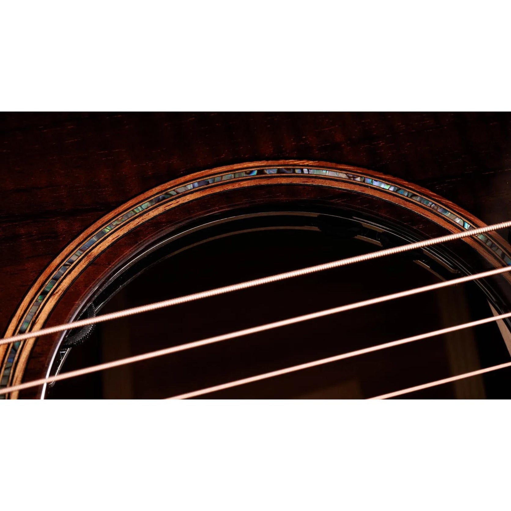 Đàn Guitar Acoustic Taylor Next Generation Builders Edition K24ce - Kona Edgeburst-Mai Nguyên Music
