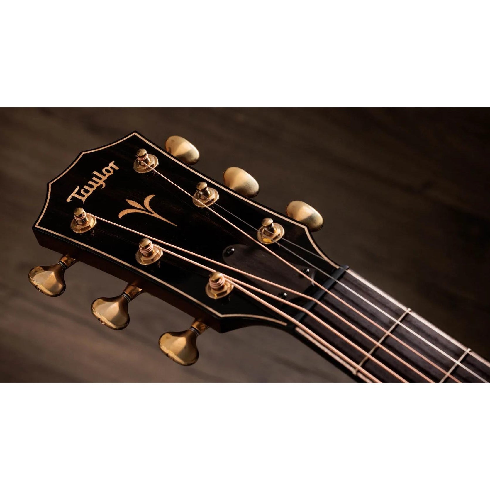 Đàn Guitar Acoustic Taylor Next Generation K24ce - Shaded Edgeburst-Mai Nguyên Music