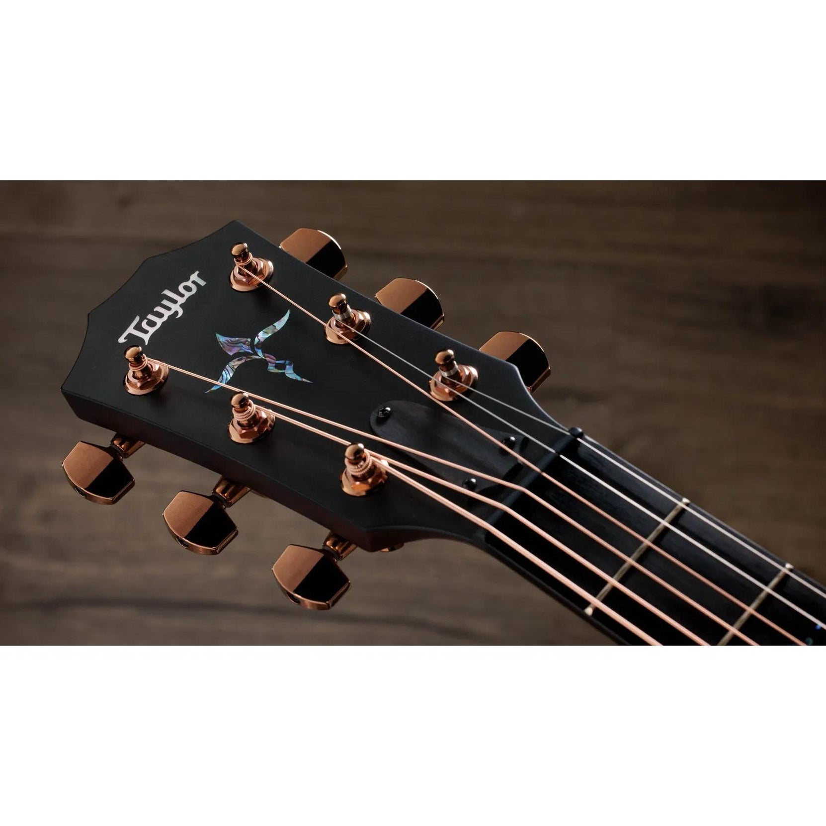 Đàn Guitar Acoustic Taylor Next Generation K24ce Special Edition - Shaded Edgeburst-Mai Nguyên Music